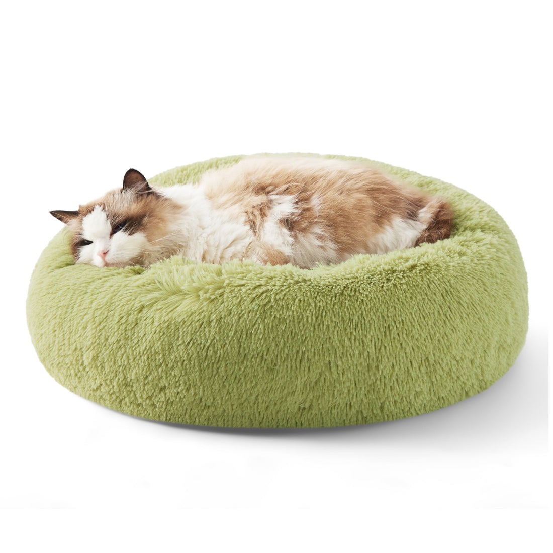 Ragdoll cat napping in plush light green donut pet bed, showing comfort and support.