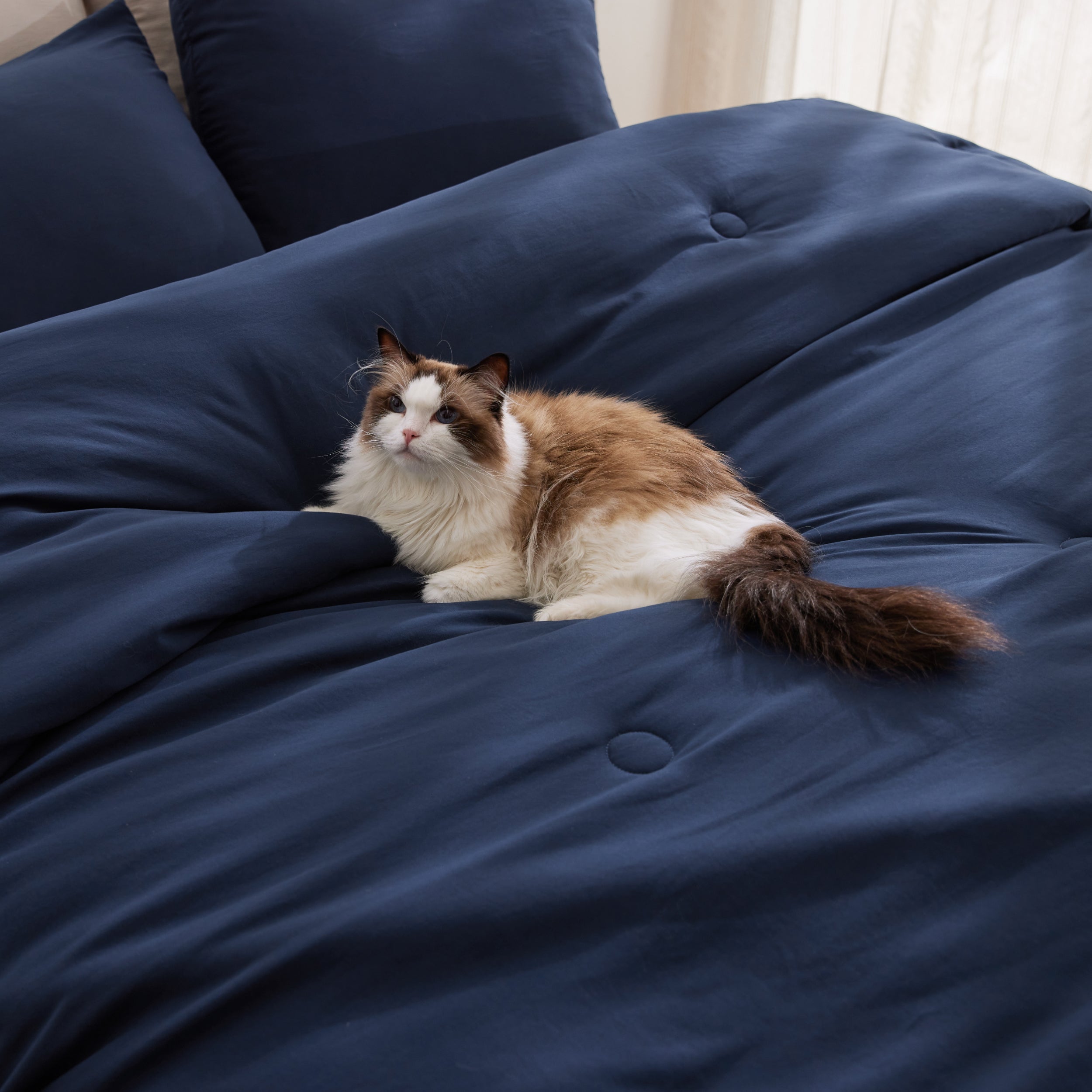 Textured Quilted Comforter Set