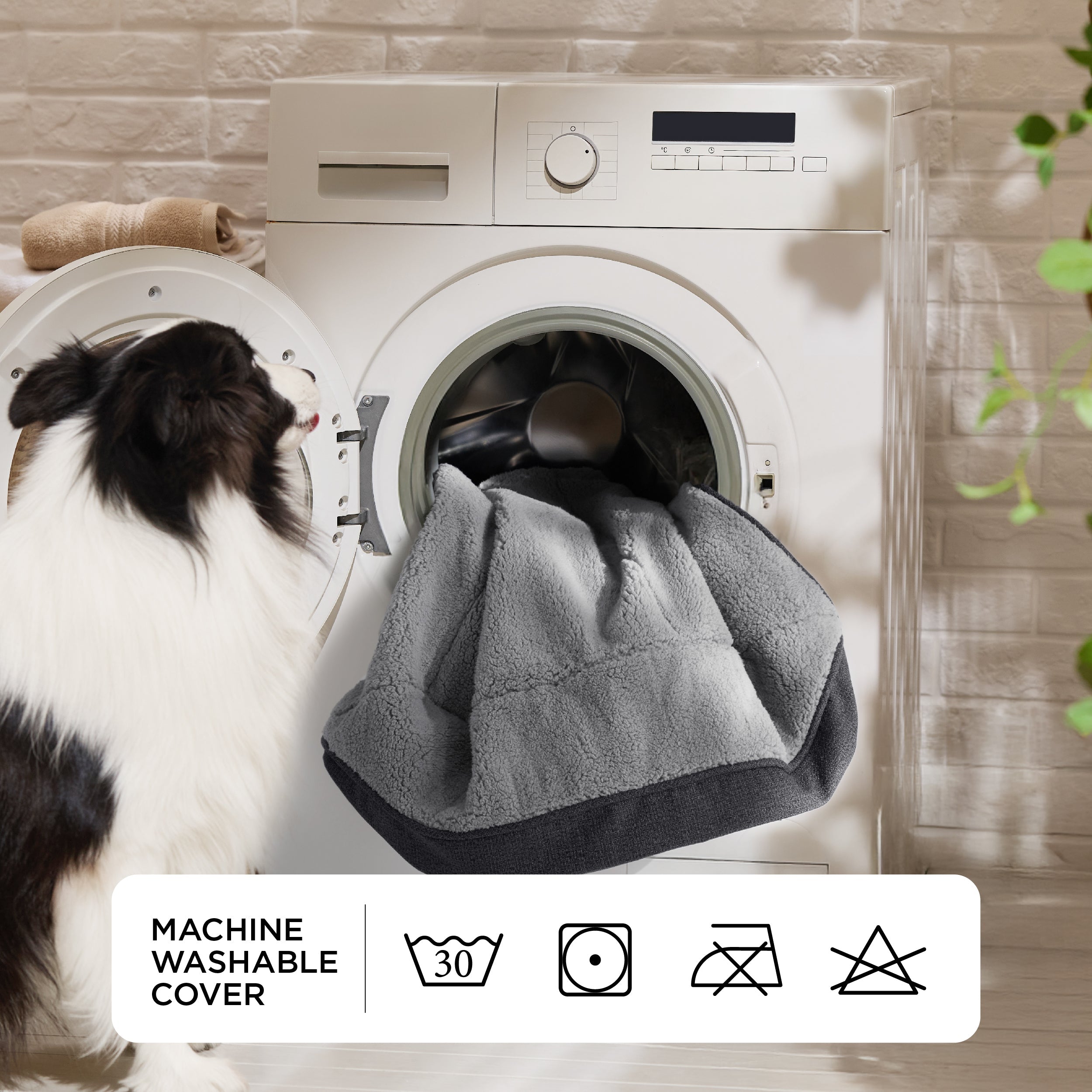 Supportive Dog Couch