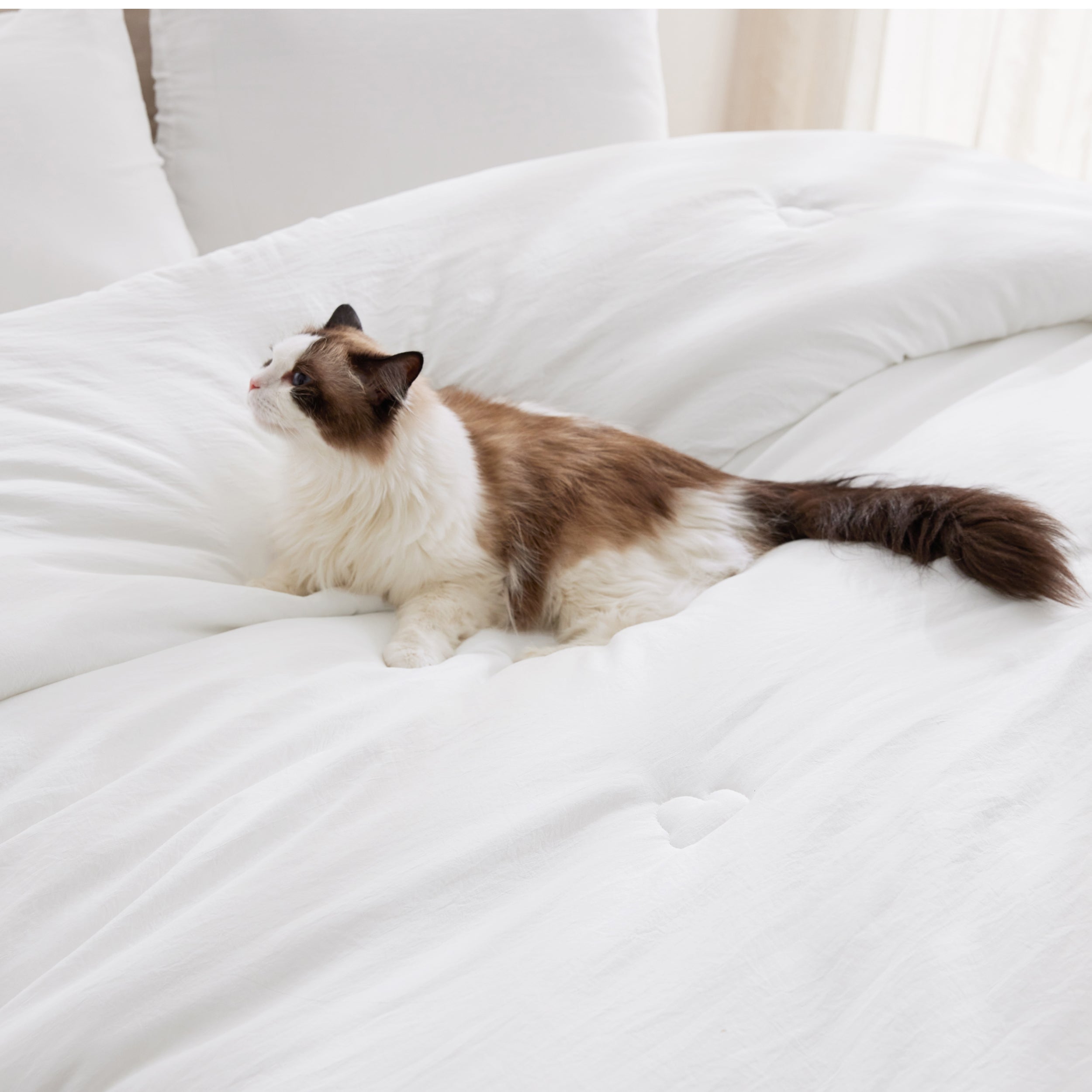 Textured Quilted Comforter Set