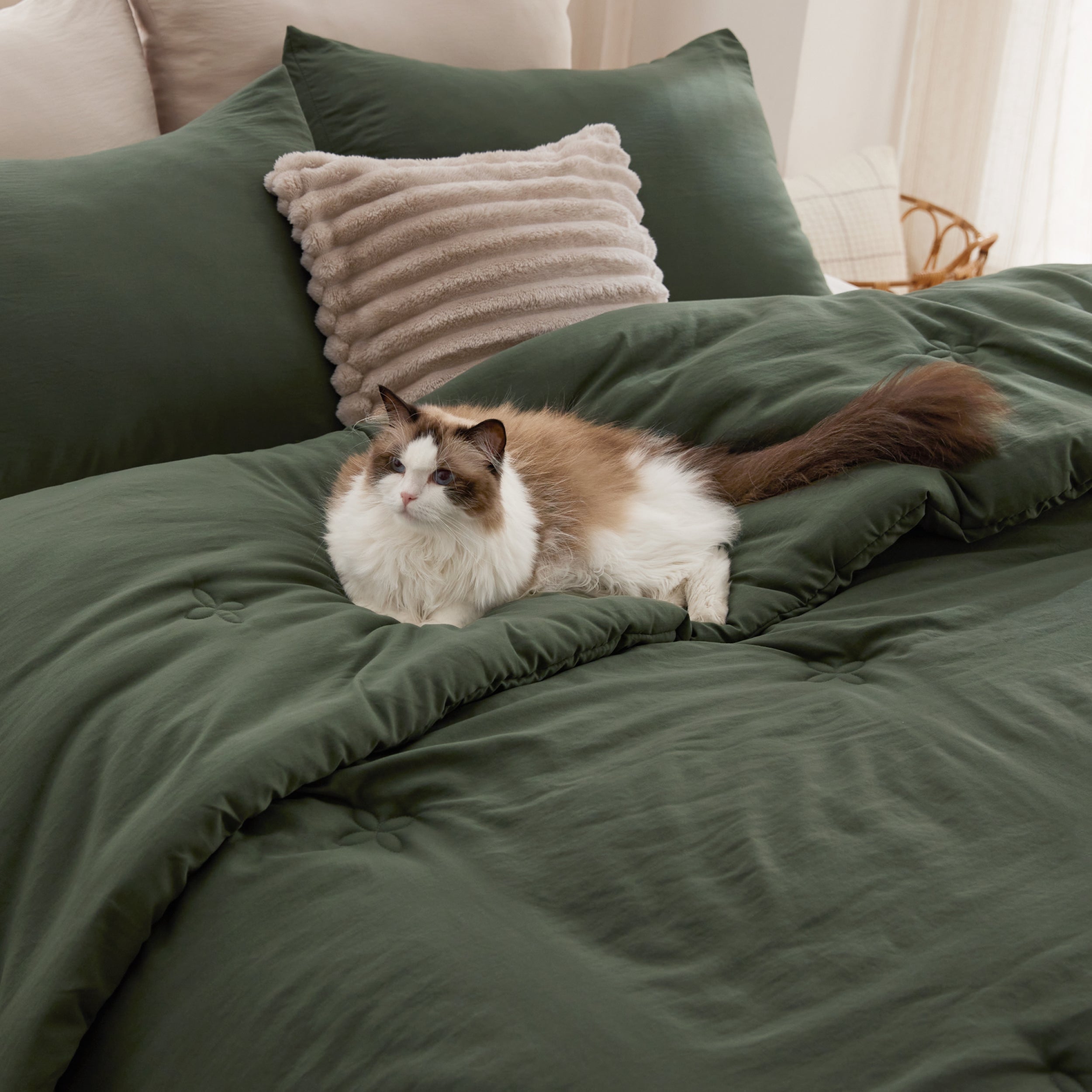 Textured Quilted Comforter Set