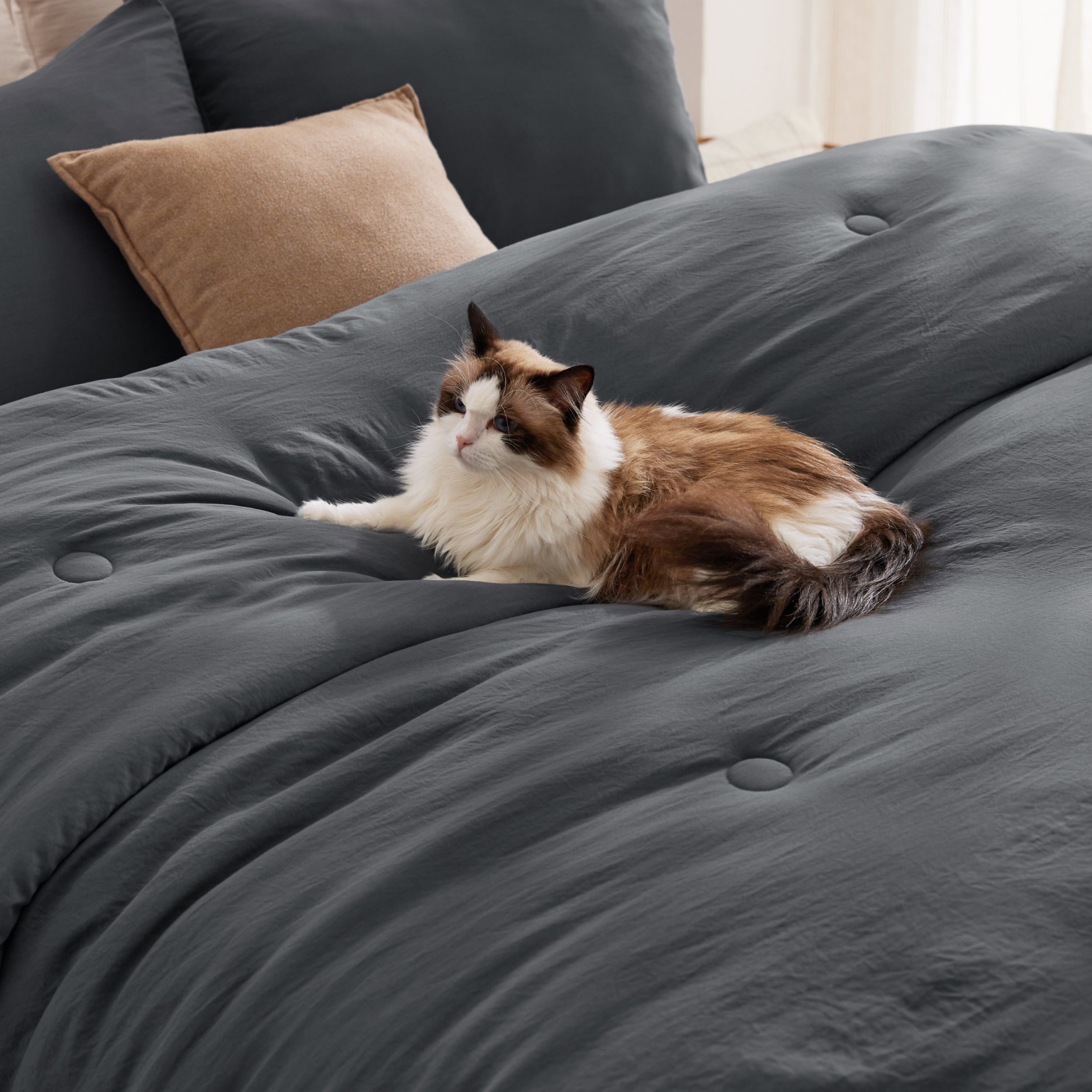 Textured Quilted Comforter Set