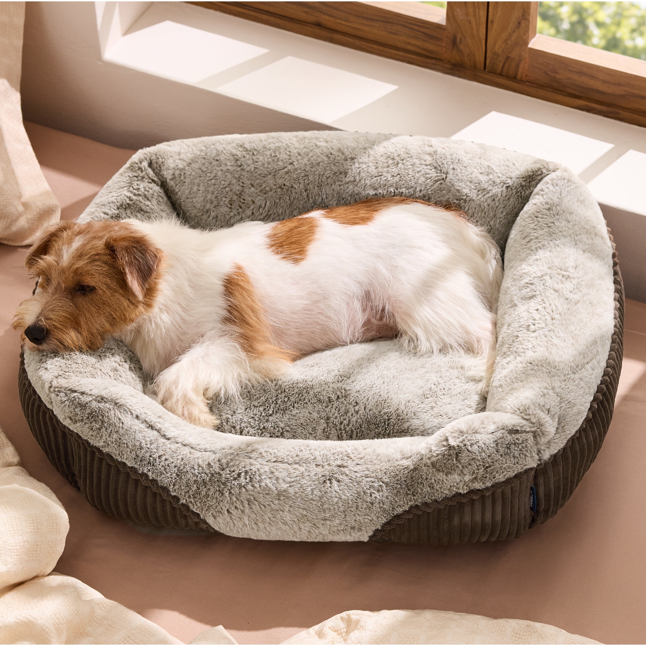 Rectangle Pet Bed