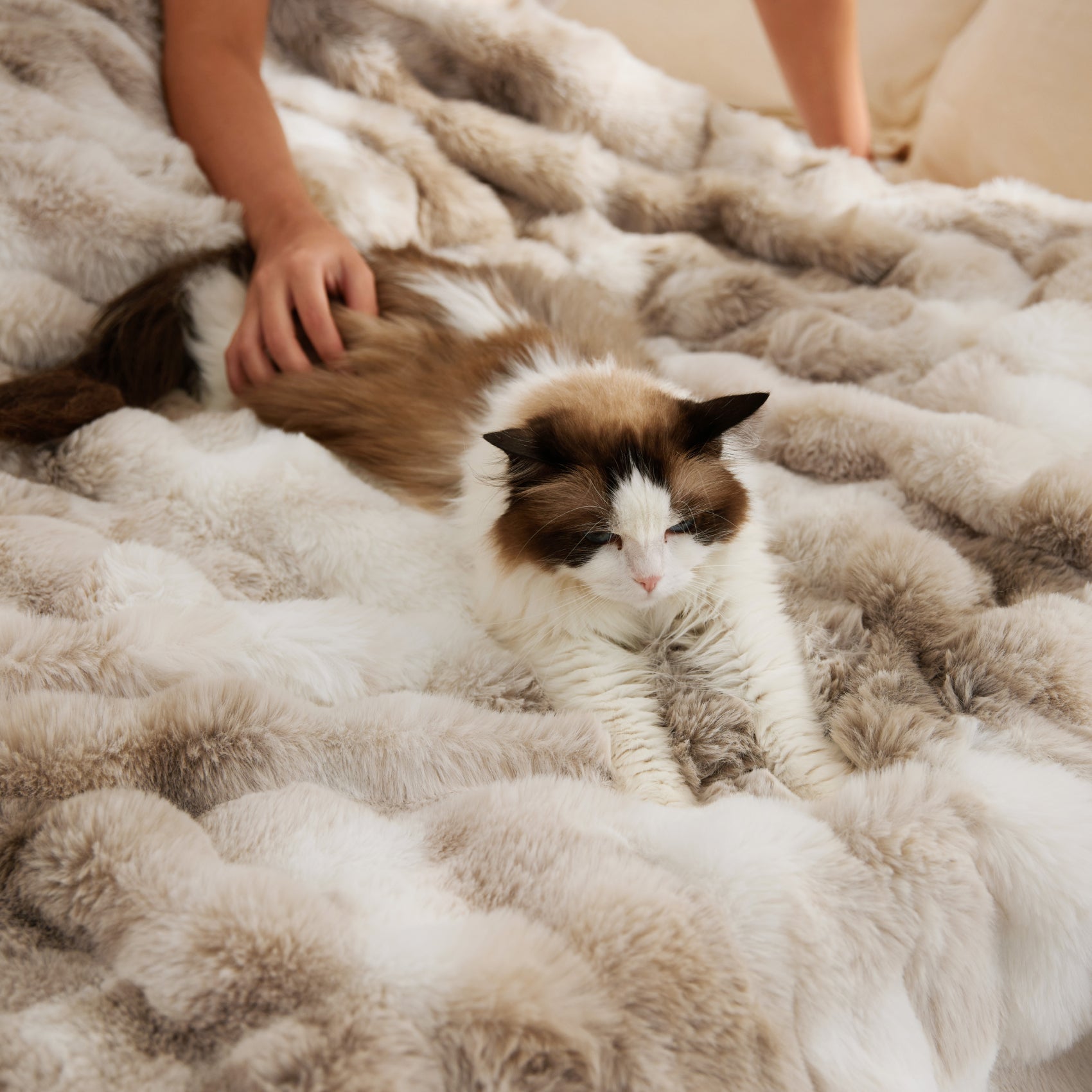 GentleSoft® Serene Blend Plush Luxe Bundle