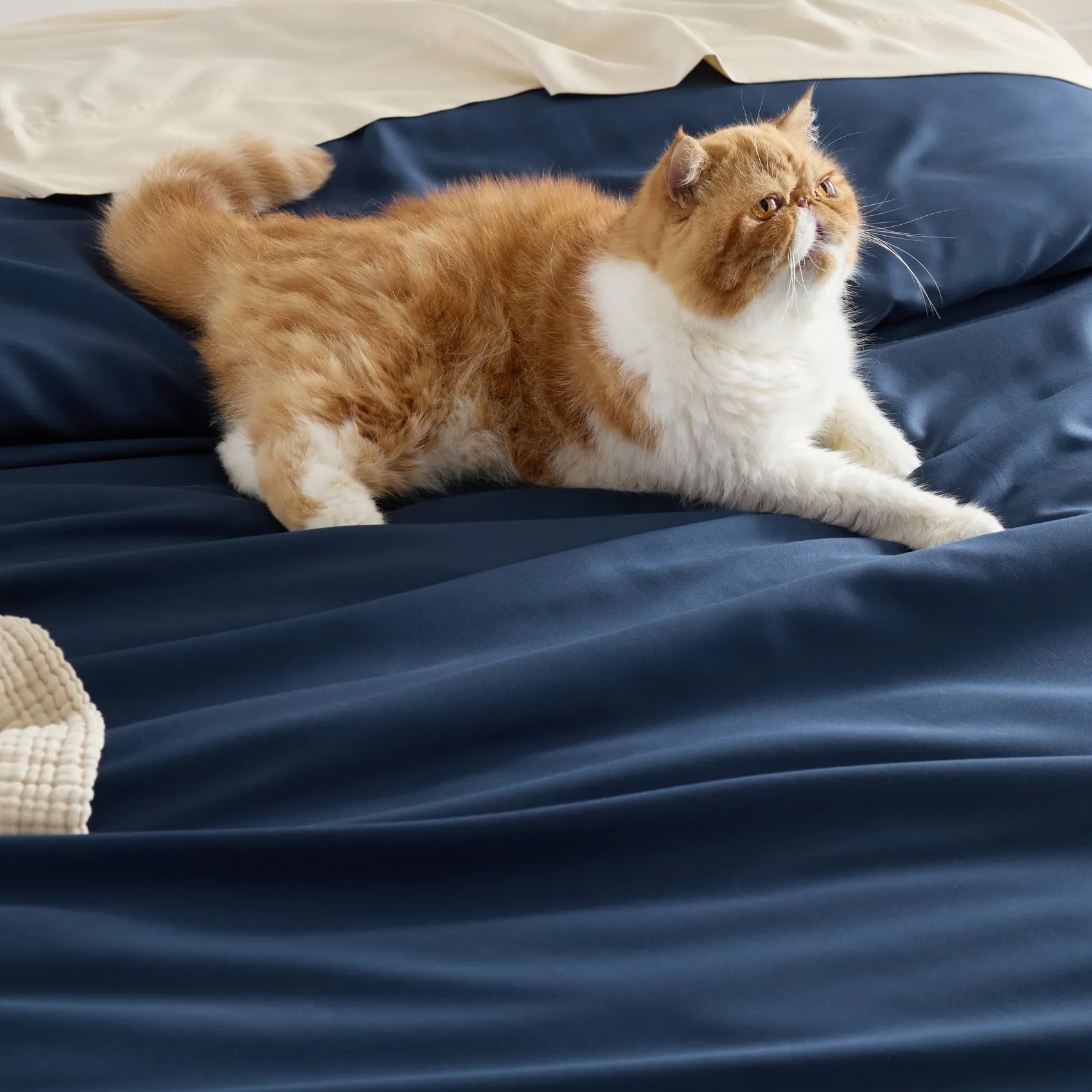 Rayon Derived From Bamboo Waffle Bundle