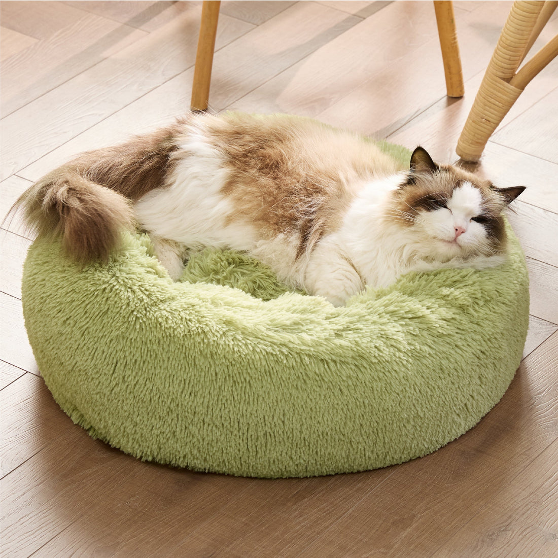 Ragdoll cat napping in plush light green donut pet bed, showing comfort and support.