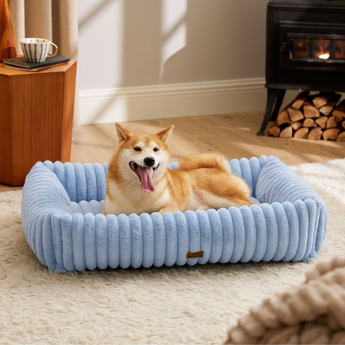 Dog lying on a blue pet bed with a white background