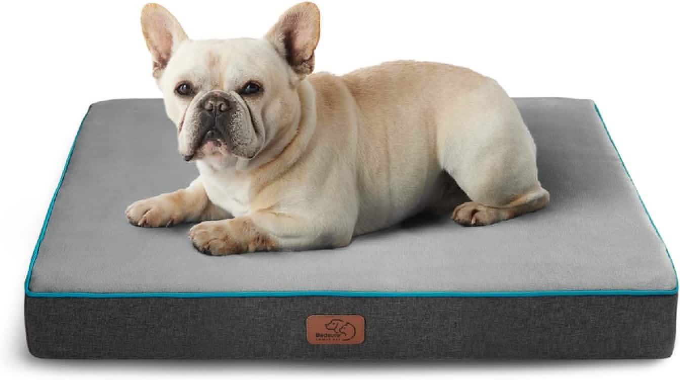 Orthopedic Memory Foam Dog Bed