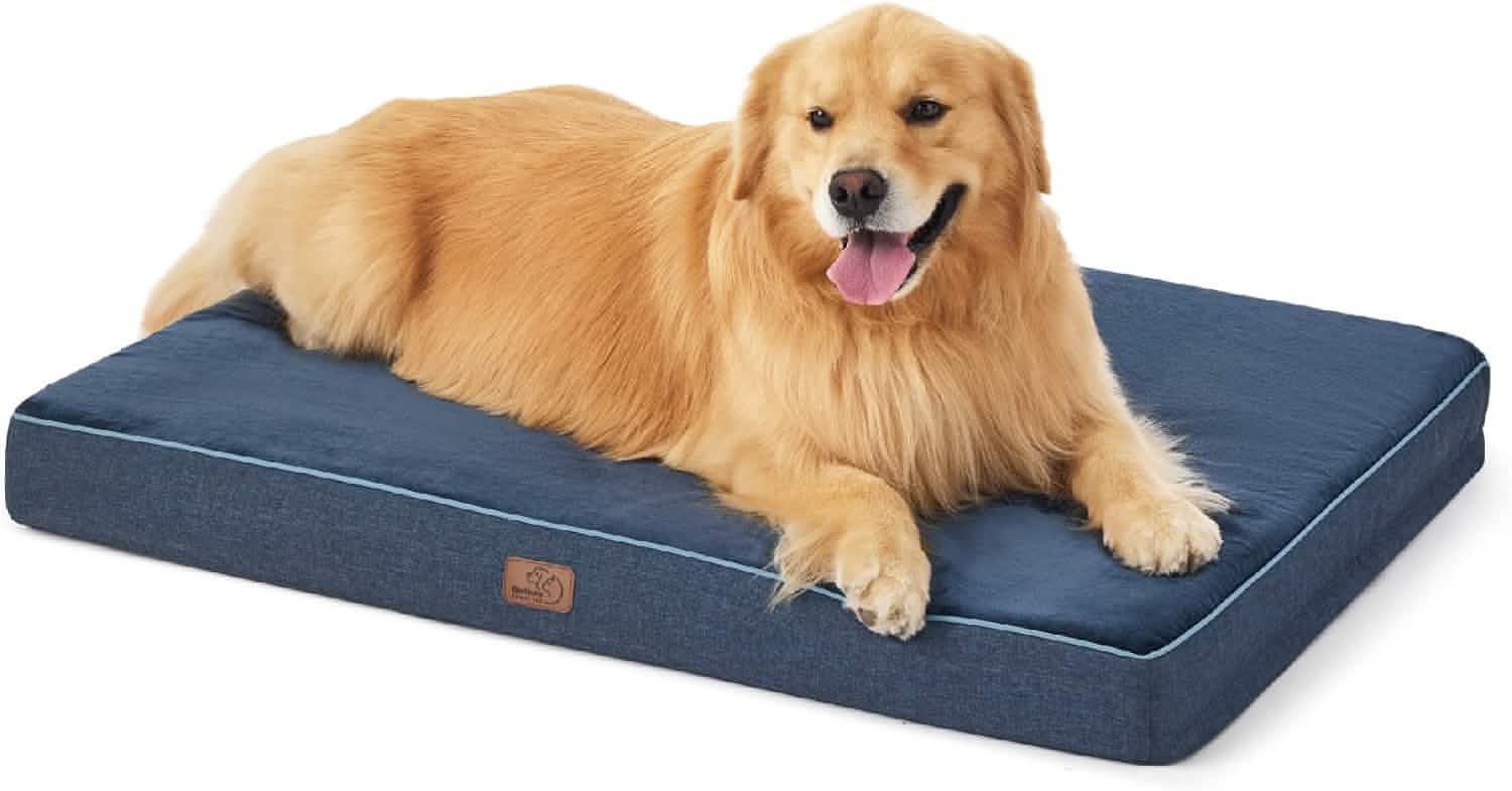 Orthopedic Memory Foam Dog Bed