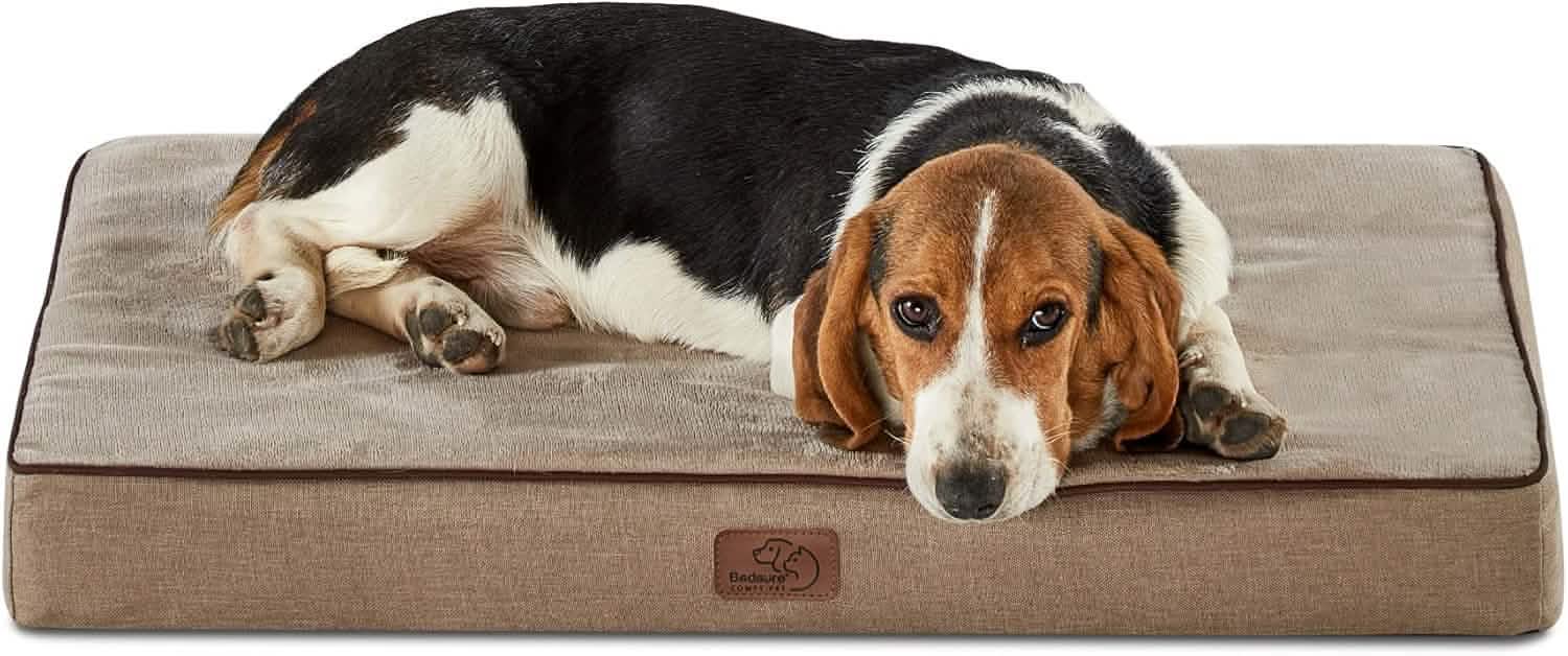 Orthopedic Memory Foam Dog Bed