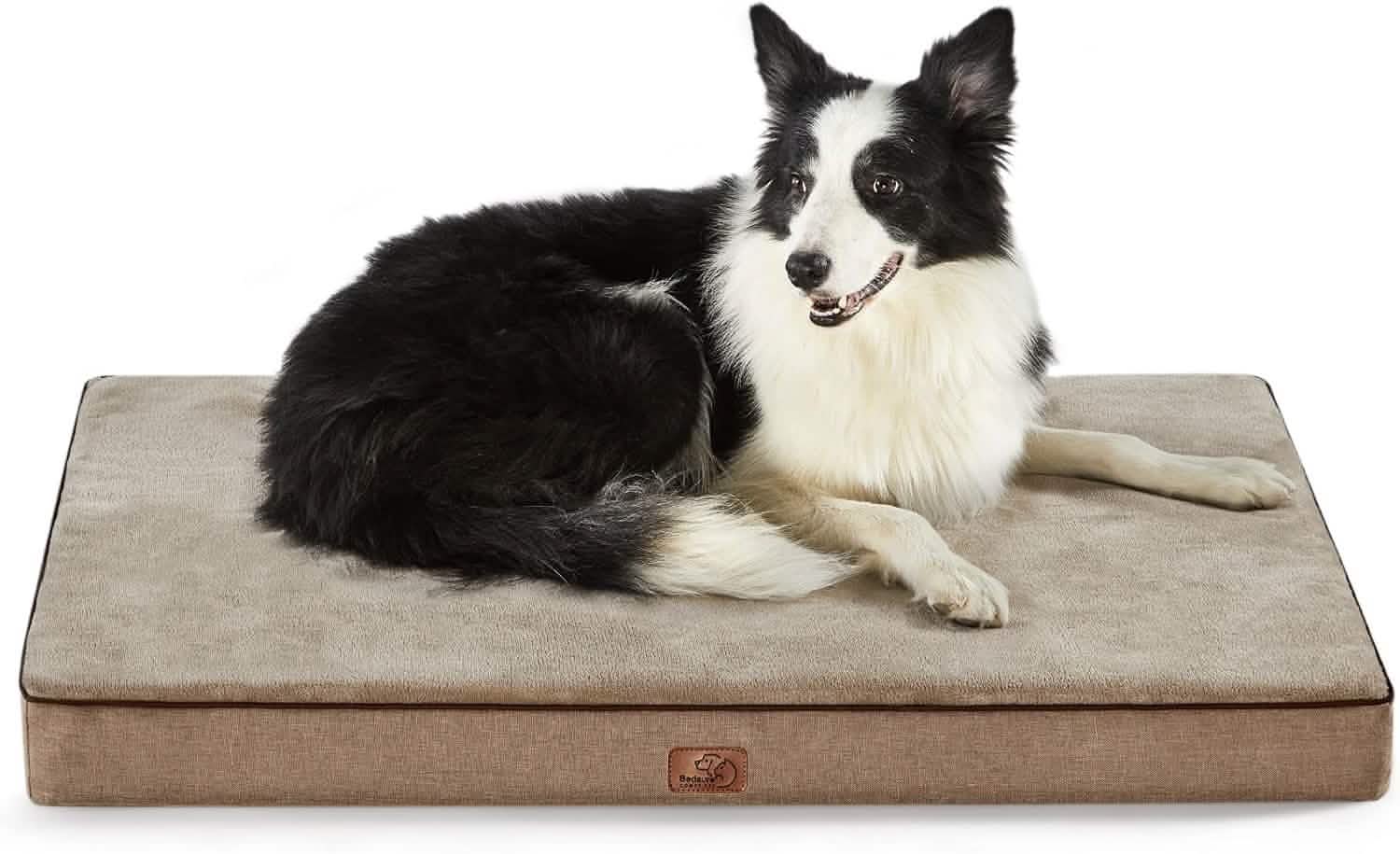 Orthopedic Memory Foam Dog Bed