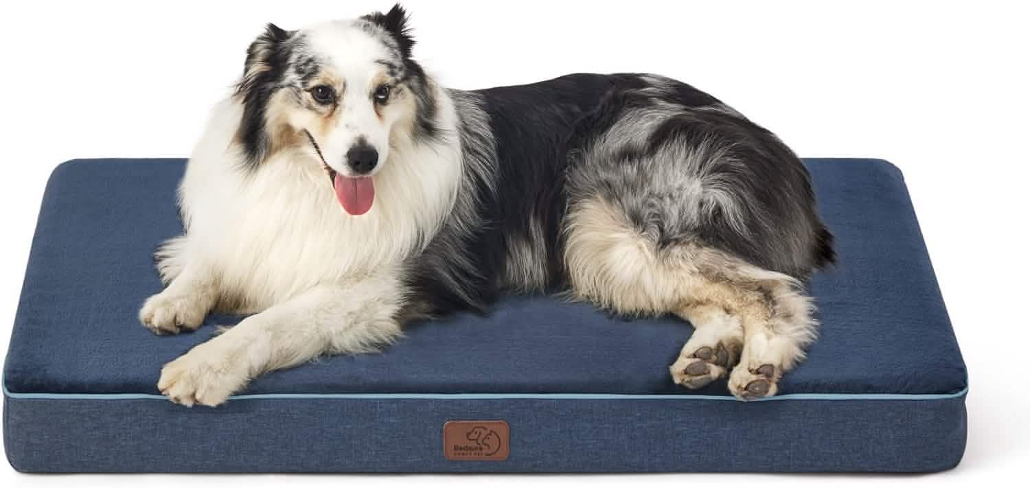 Orthopedic Memory Foam Dog Bed