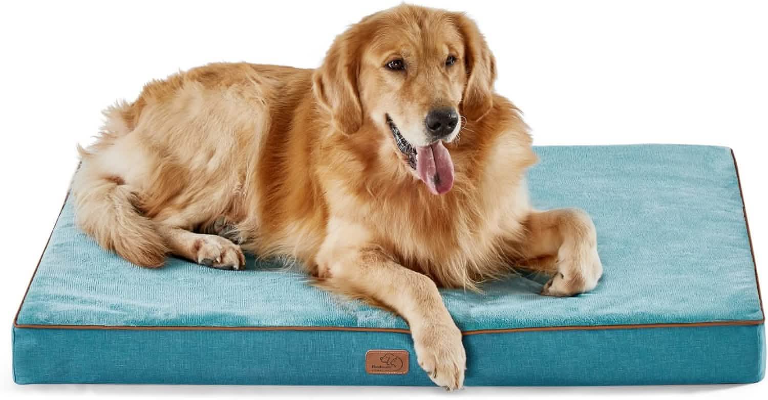 Orthopedic Memory Foam Dog Bed
