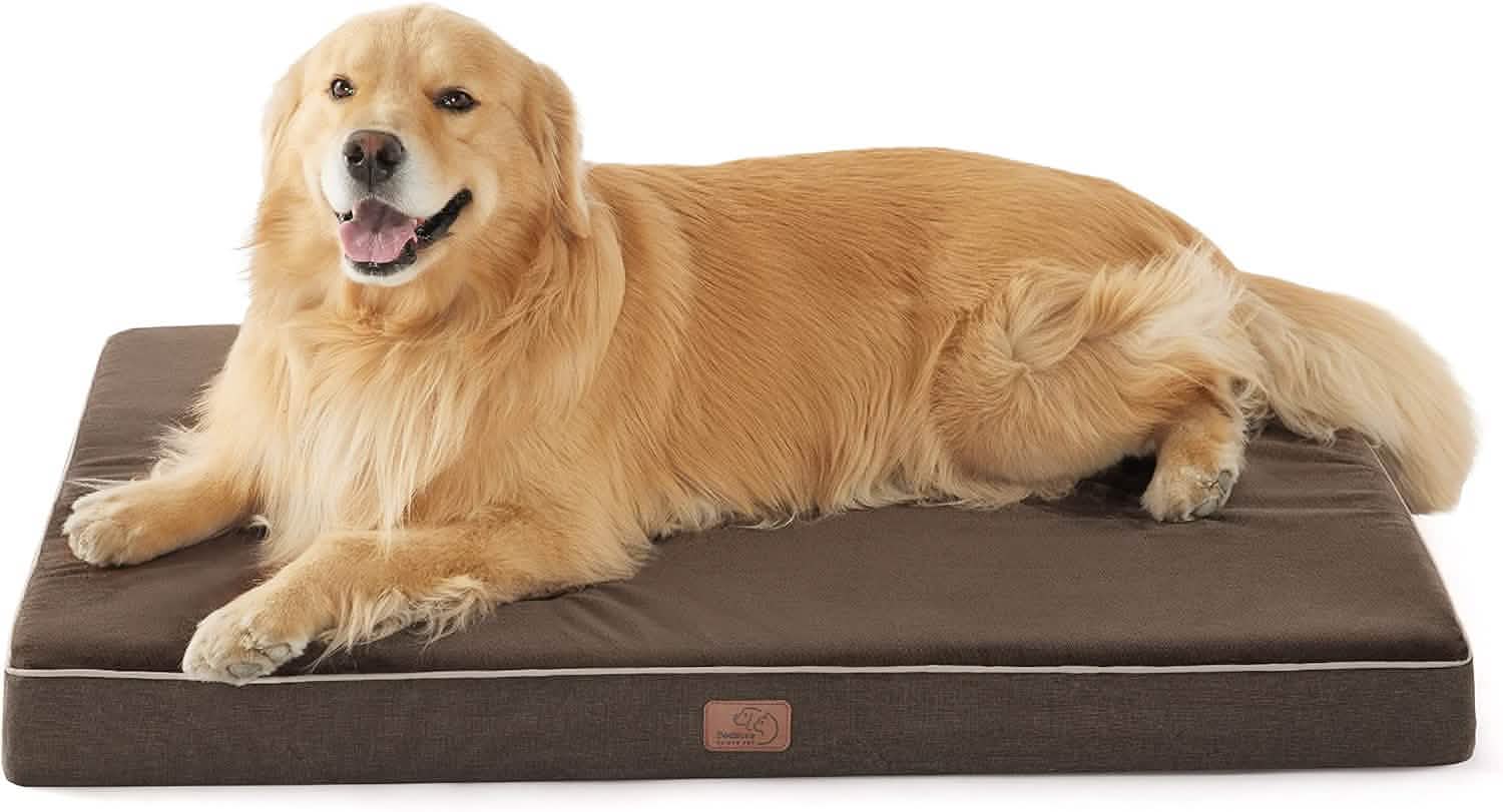 Orthopedic Memory Foam Dog Bed