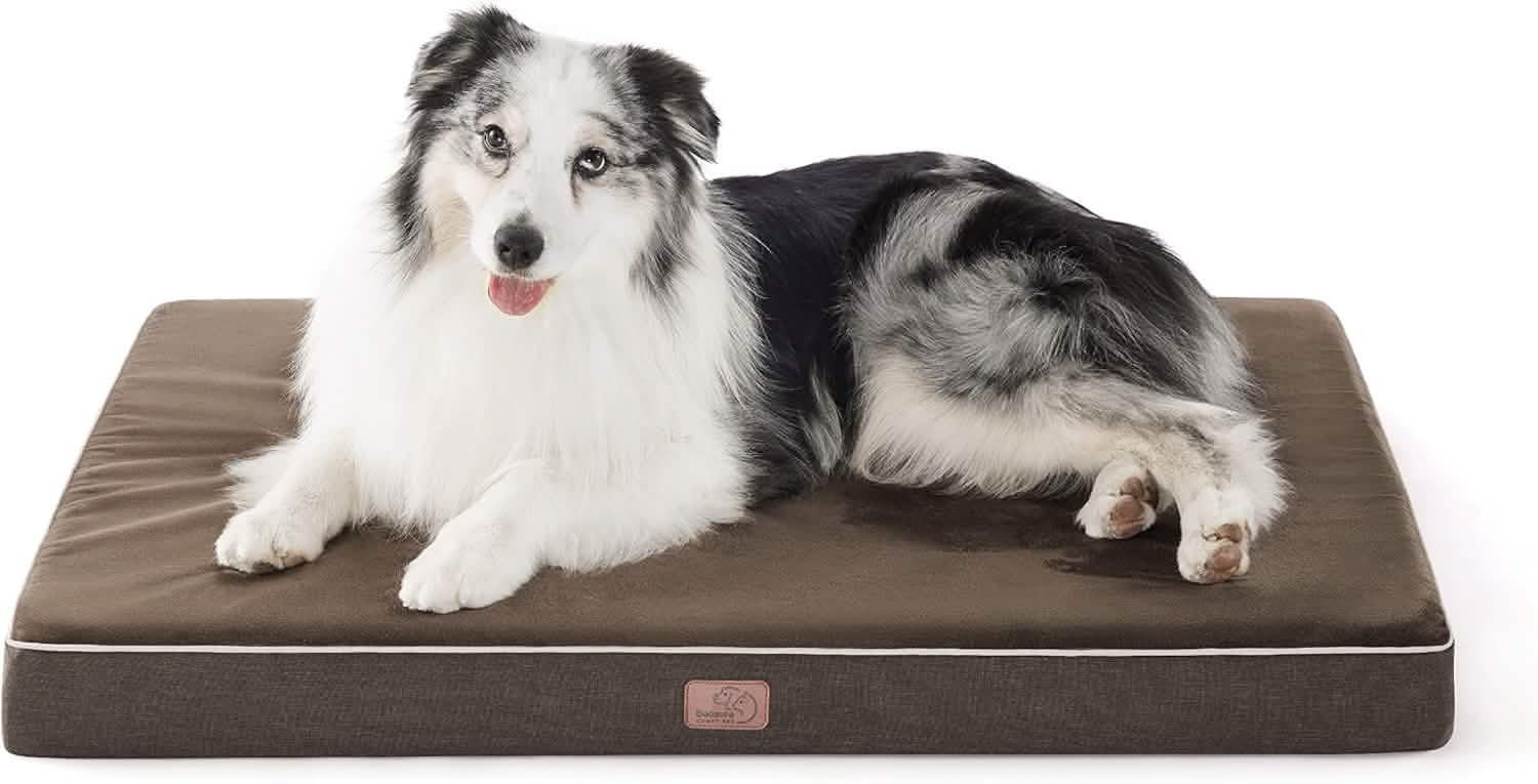 Orthopedic Memory Foam Dog Bed