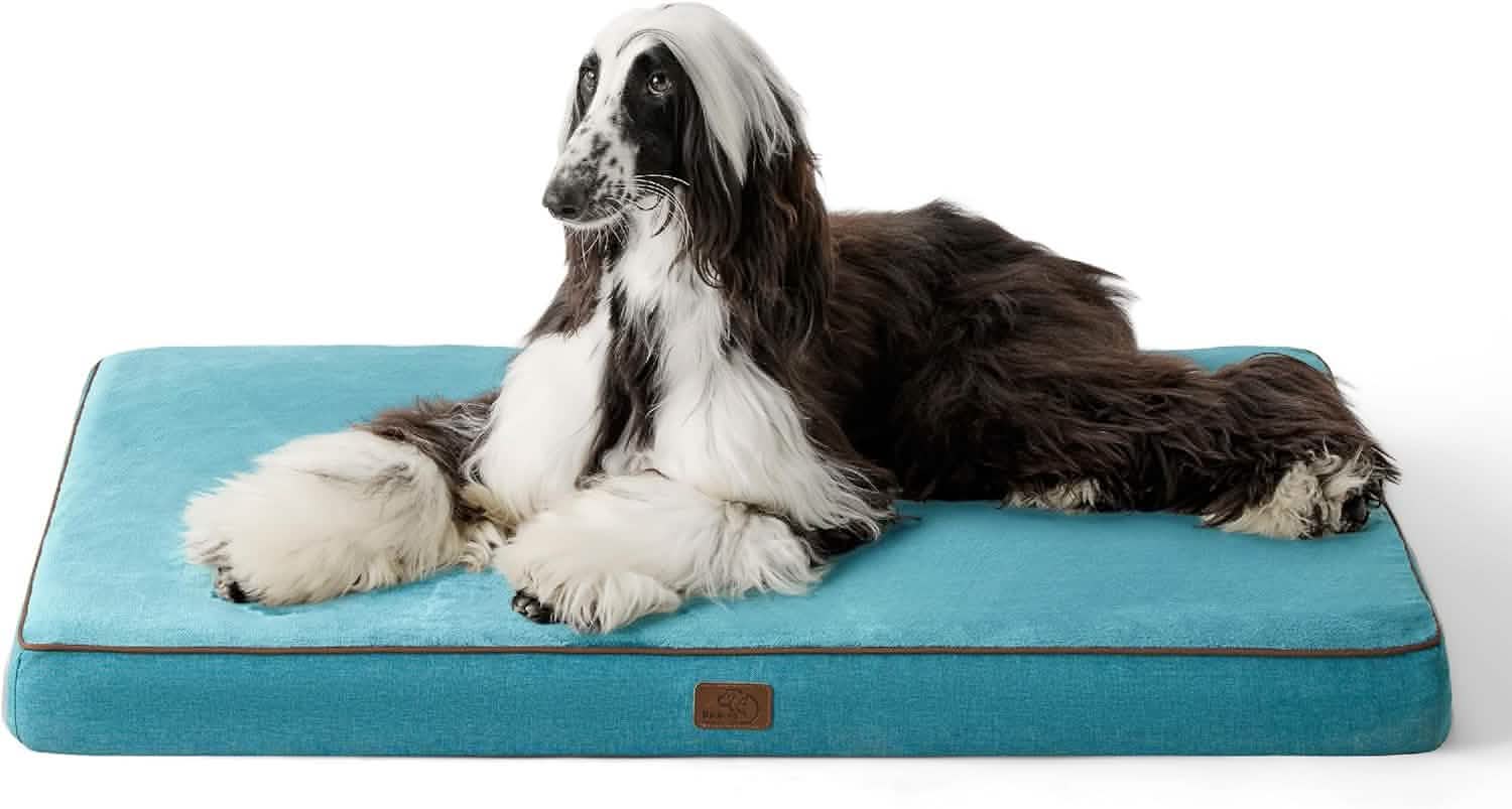 Orthopedic Memory Foam Dog Bed