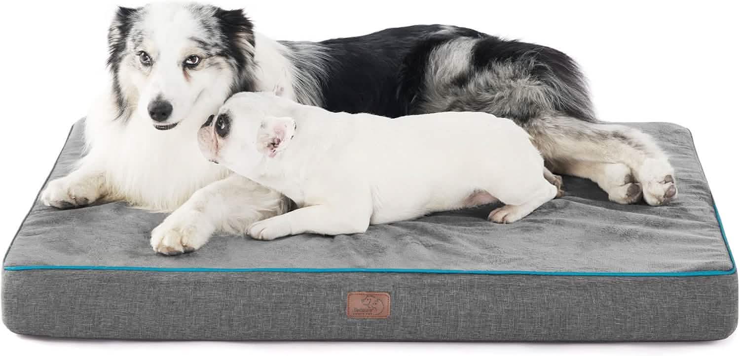 Orthopedic Memory Foam Dog Bed
