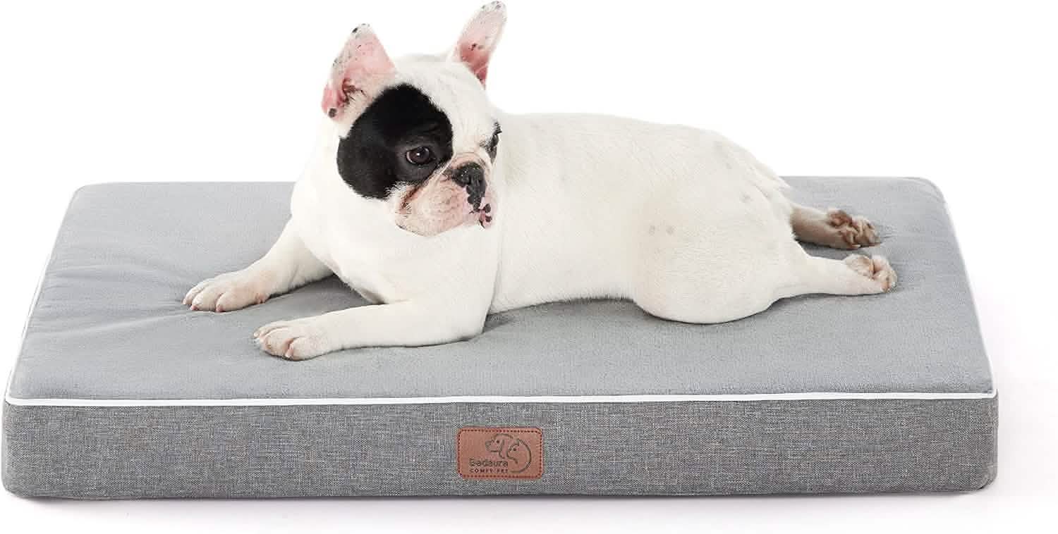 Orthopedic Memory Foam Dog Bed