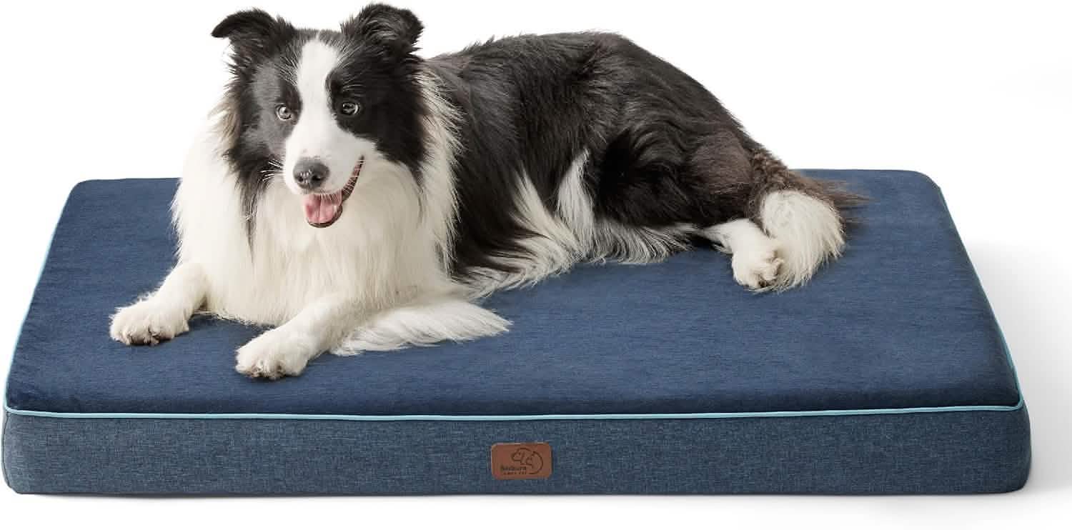 Orthopedic Memory Foam Dog Bed