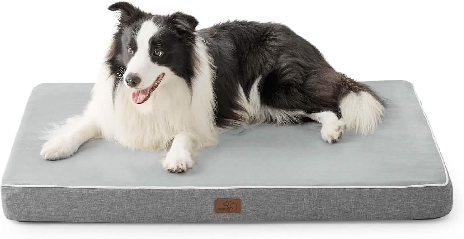 Orthopedic Memory Foam Dog Bed