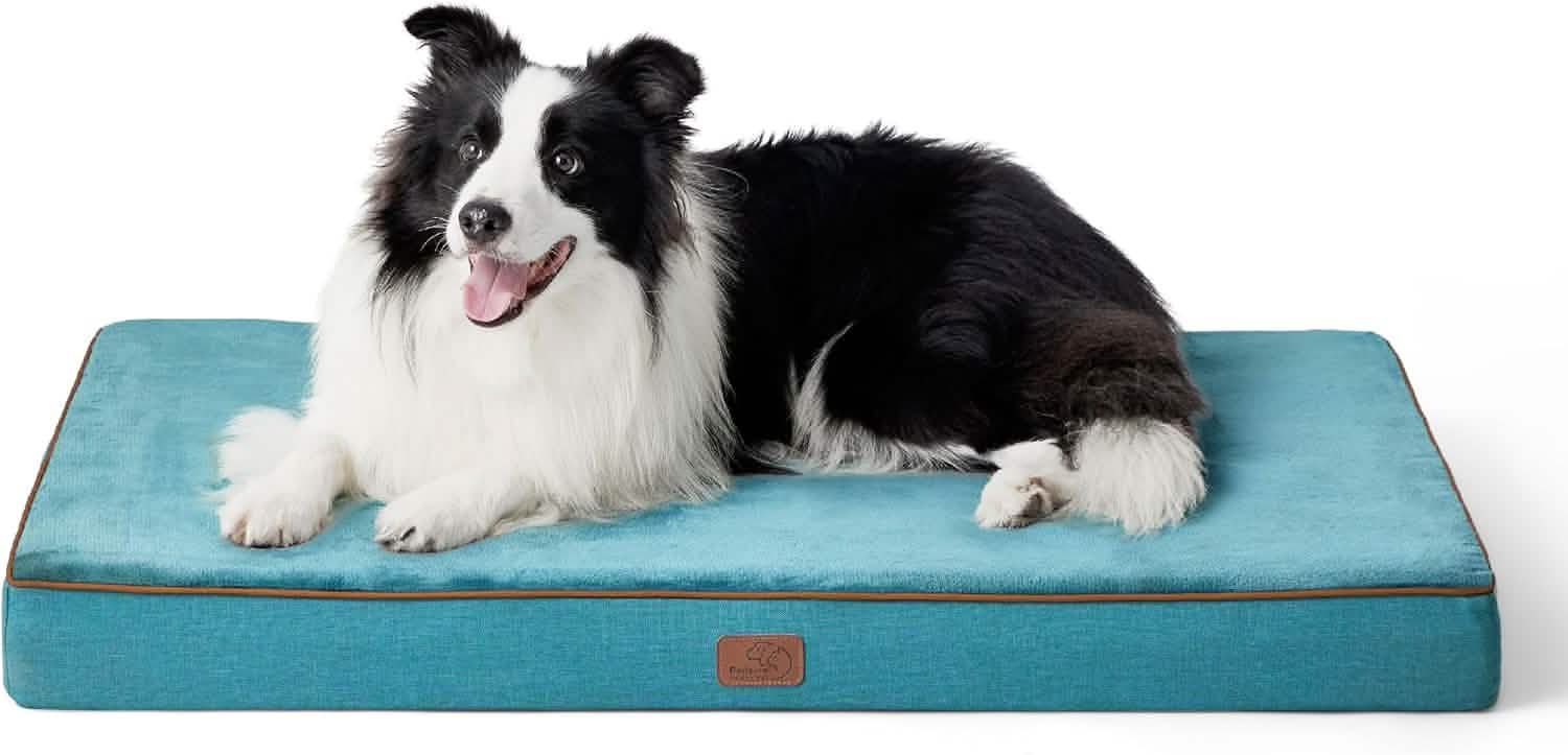 Orthopedic Memory Foam Dog Bed
