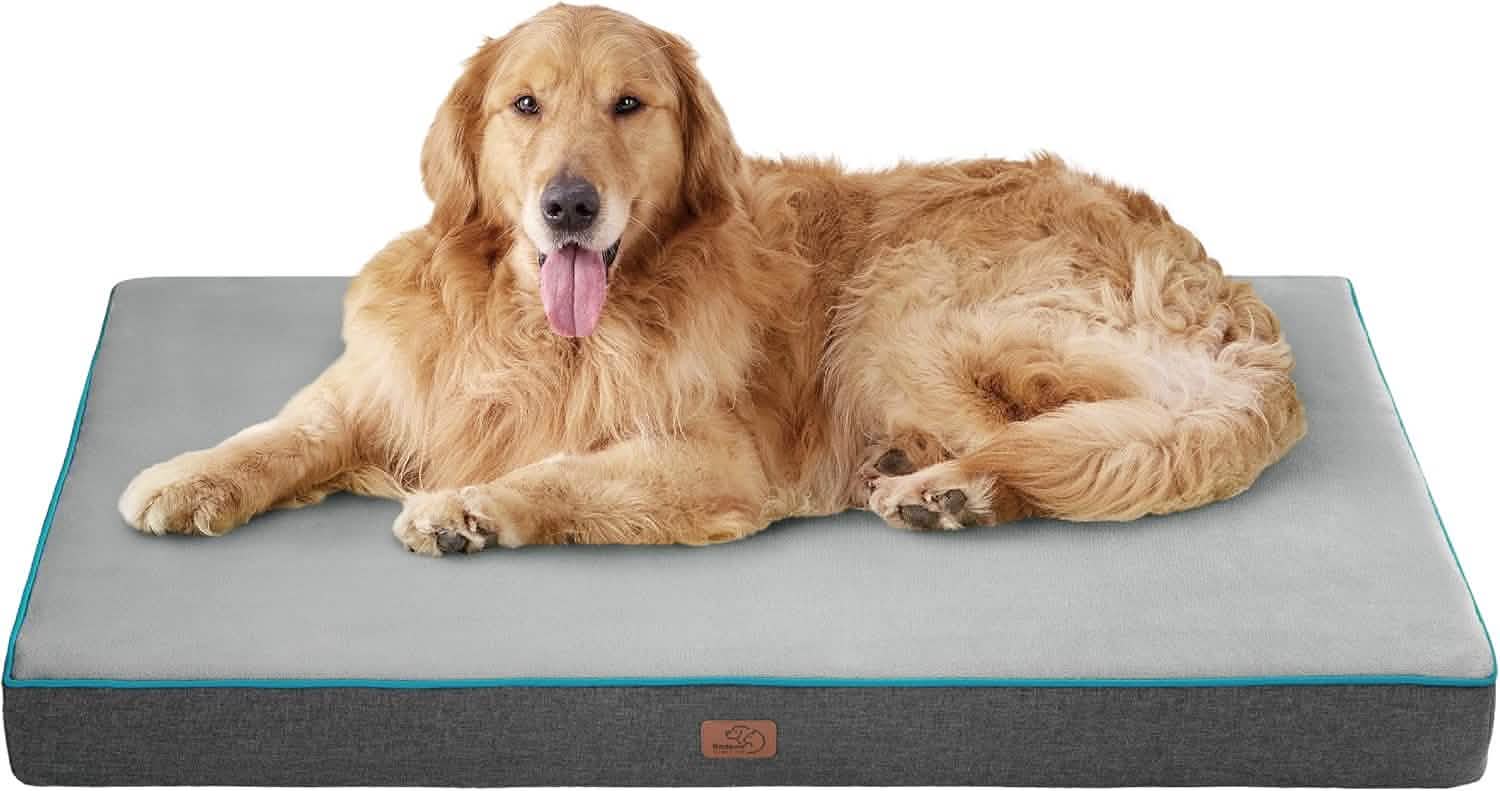 Orthopedic Memory Foam Dog Bed