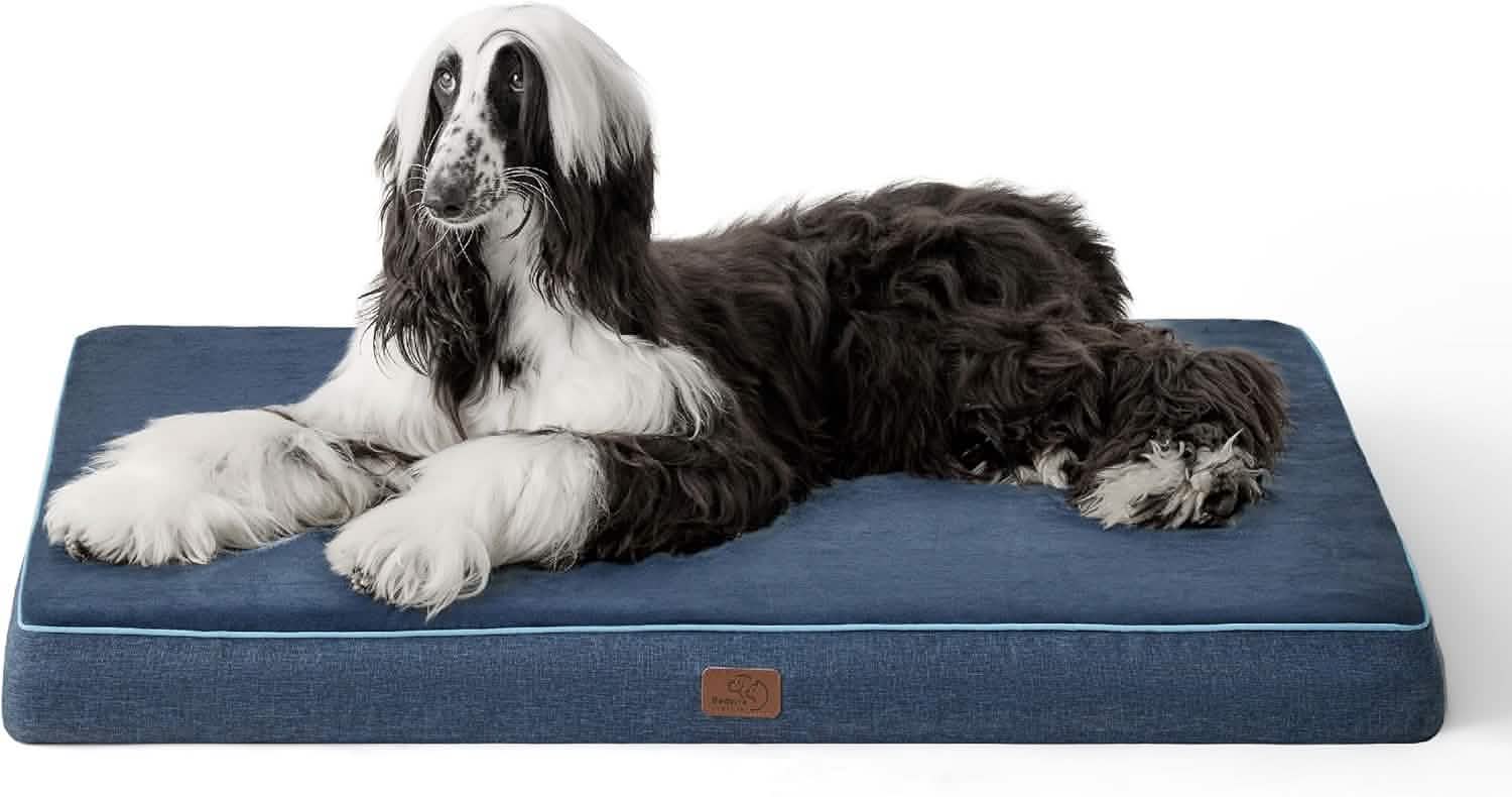 Orthopedic Memory Foam Dog Bed