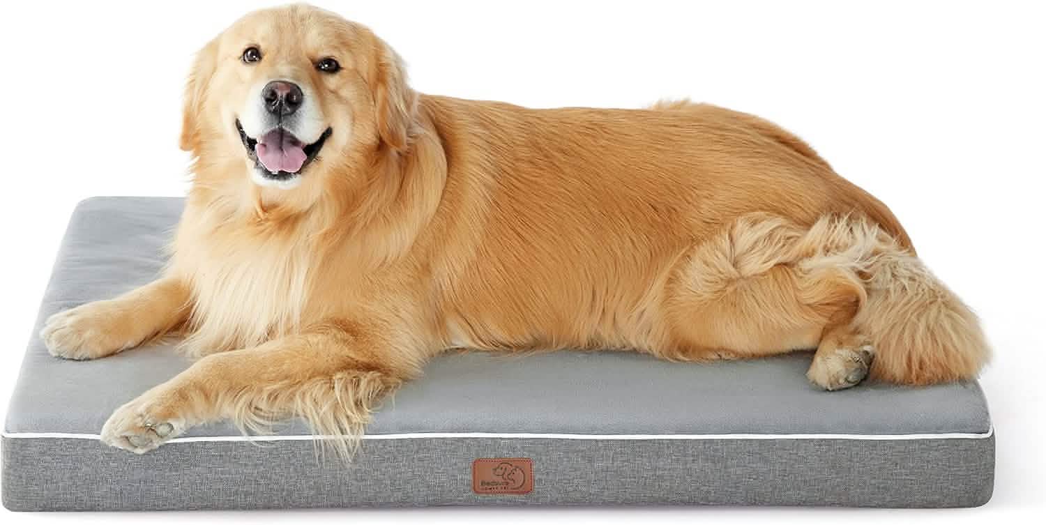 Orthopedic Memory Foam Dog Bed