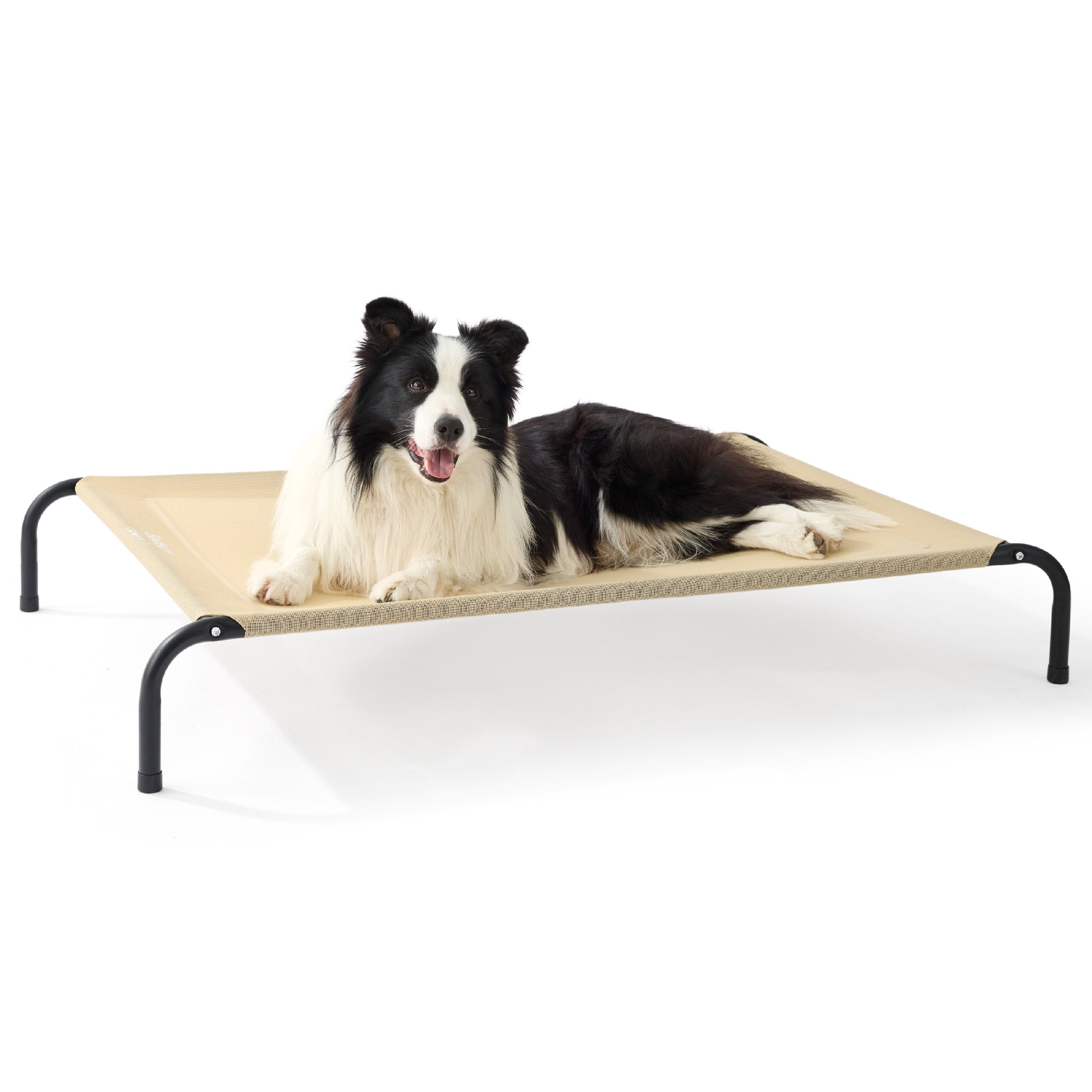 Elevated Dog Bed
