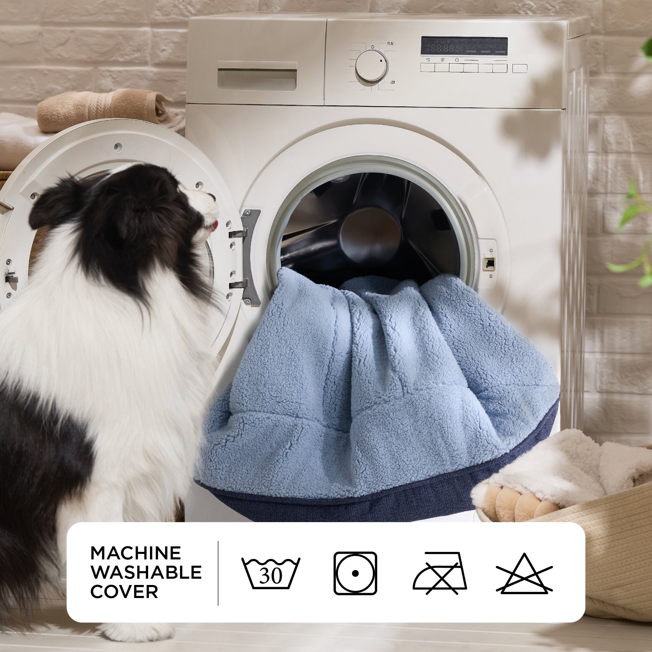 Supportive Dog Couch