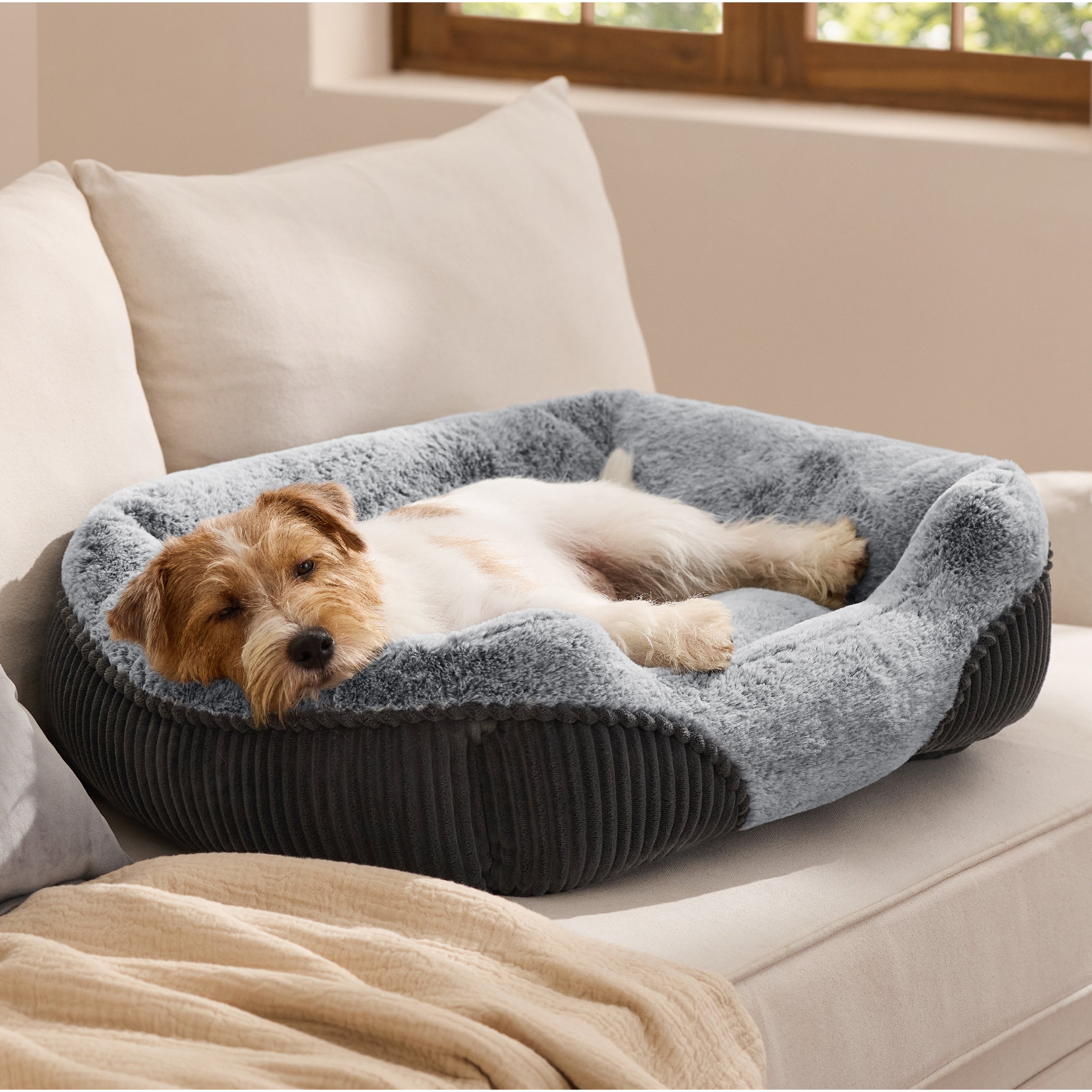 Rectangle Pet Bed