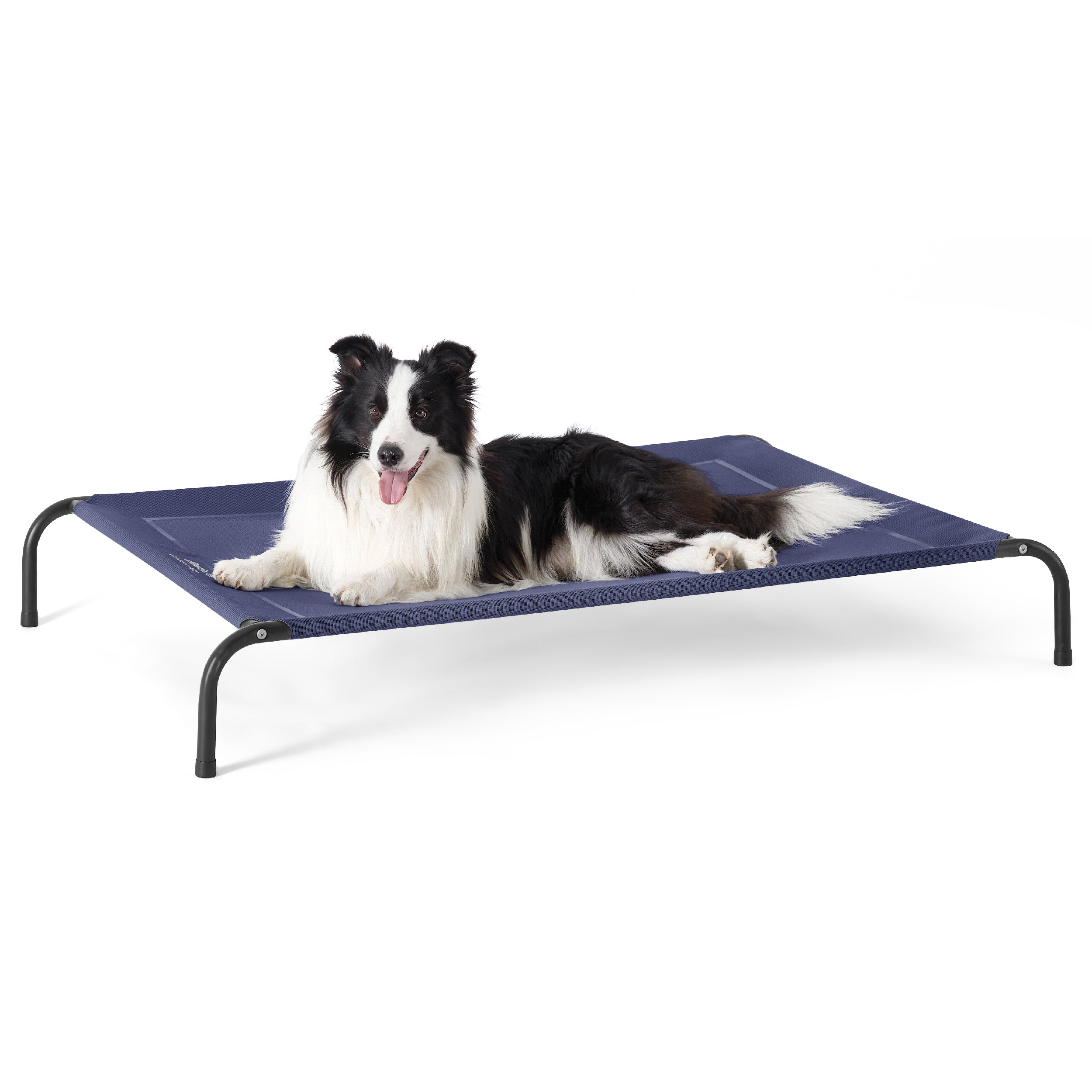 Elevated Dog Bed