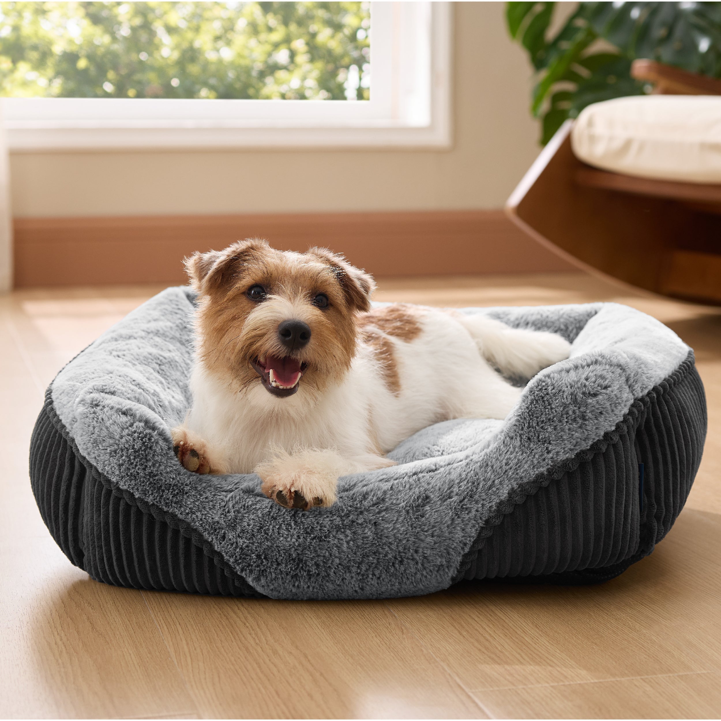 Rectangle Pet Bed