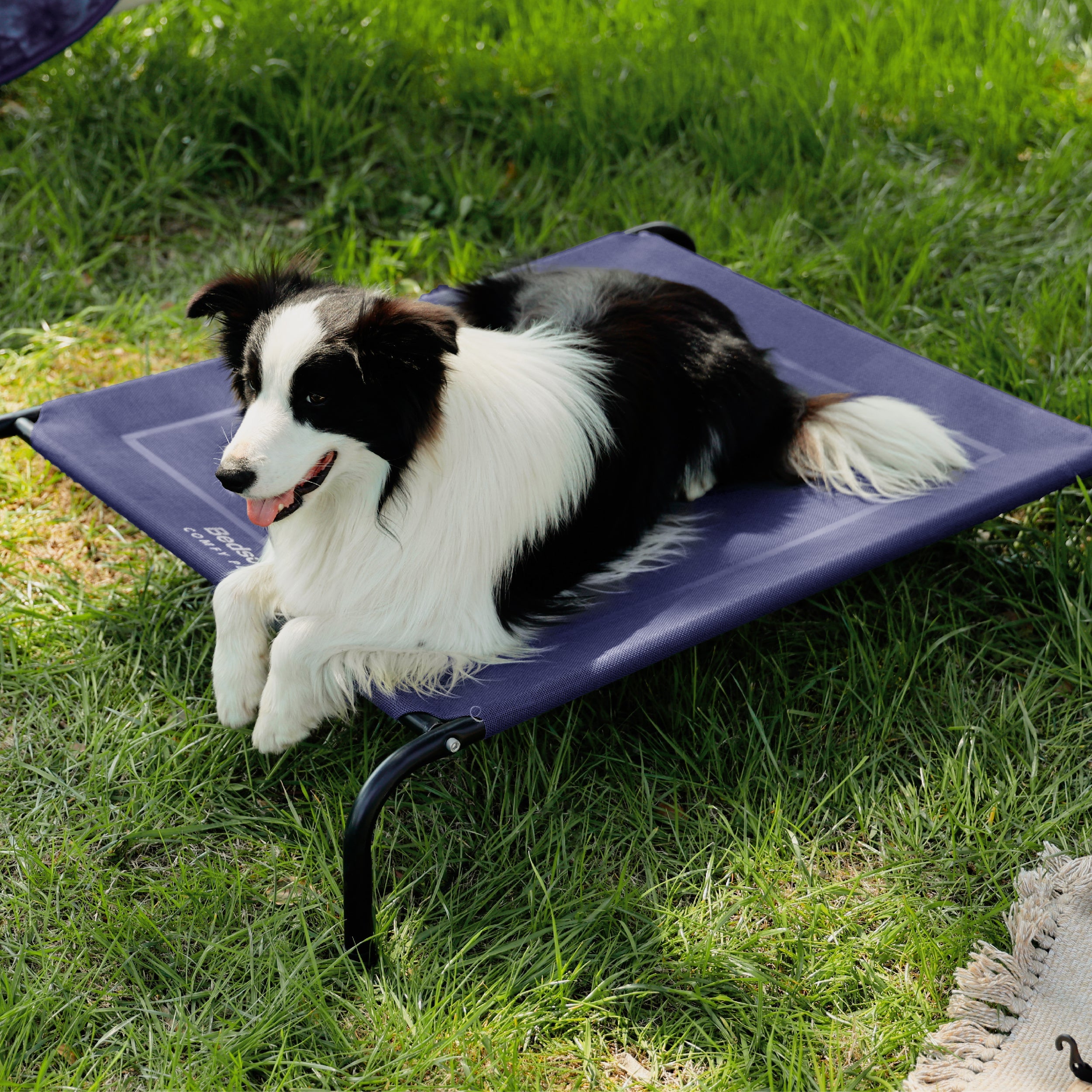 Elevated Dog Bed