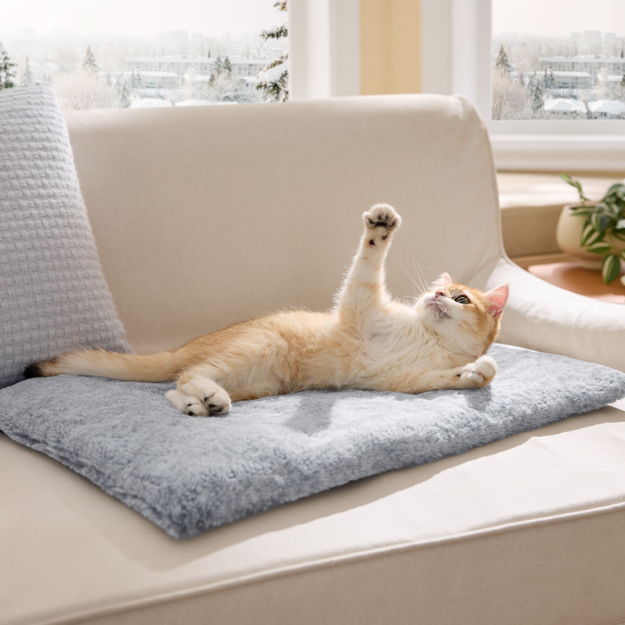 Self-Warming Cat Mat