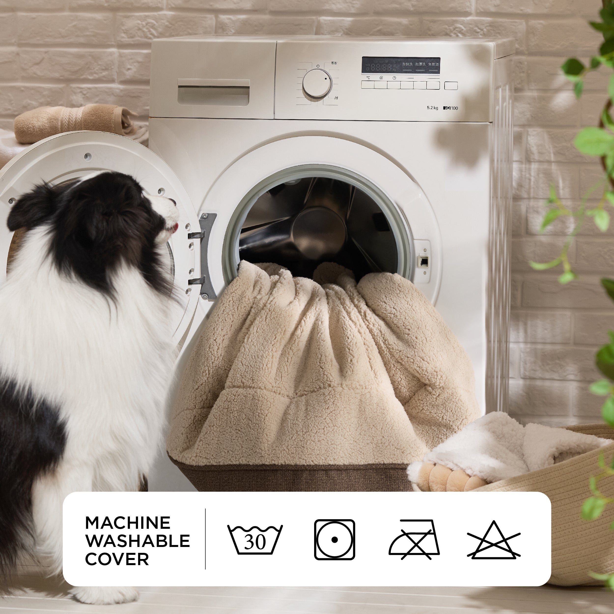 Supportive Dog Couch