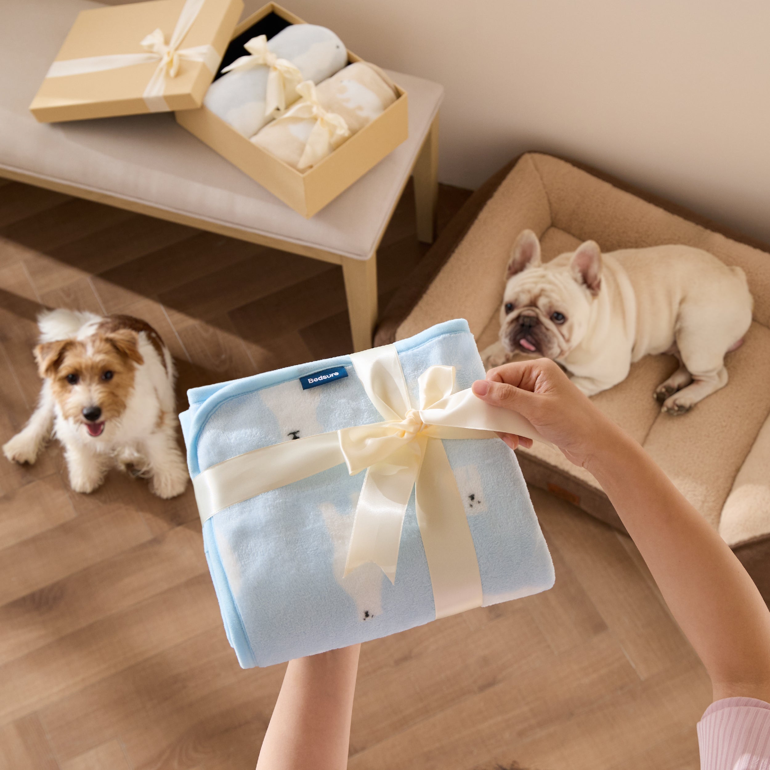 Pet Blankets Three-Pack