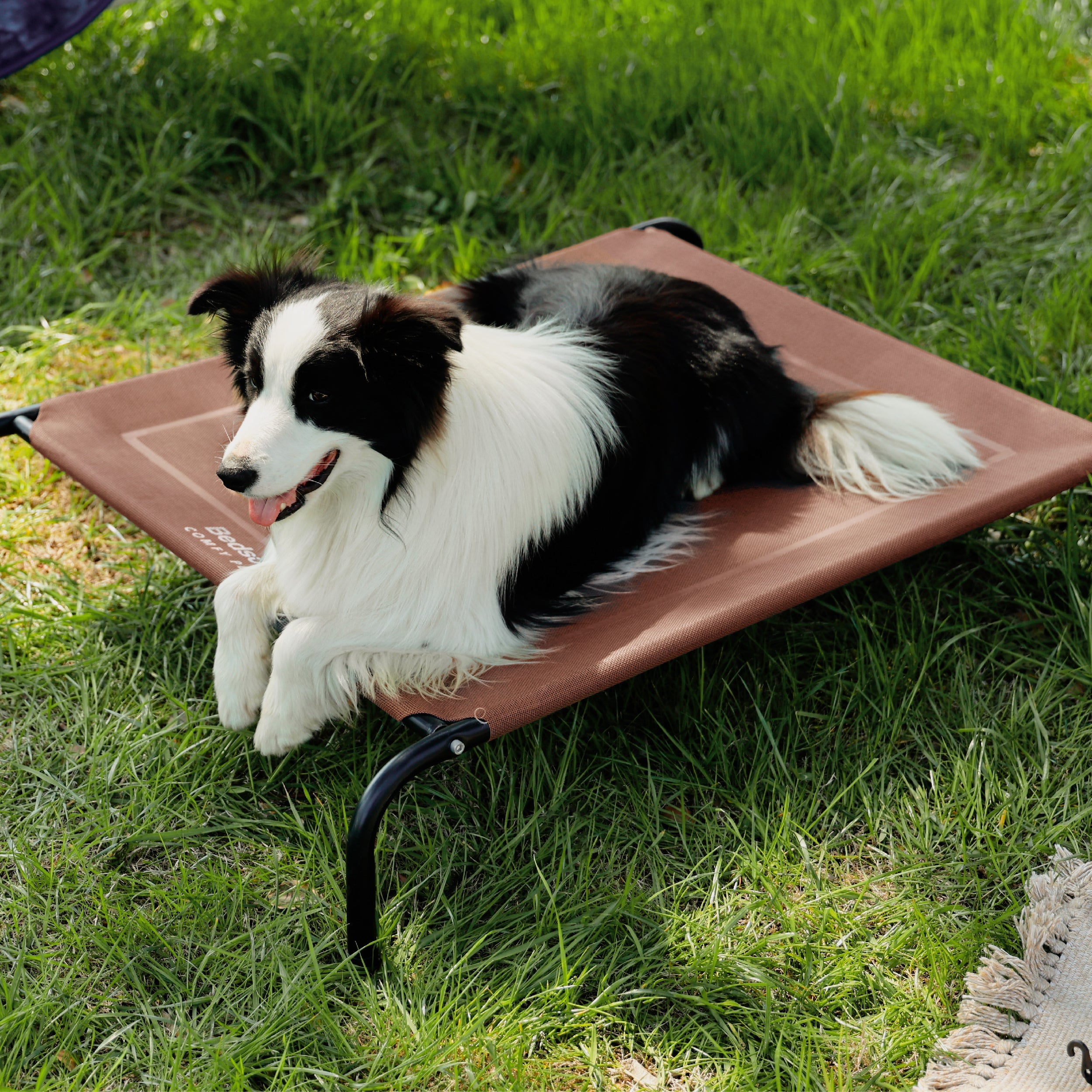 Elevated Dog Bed
