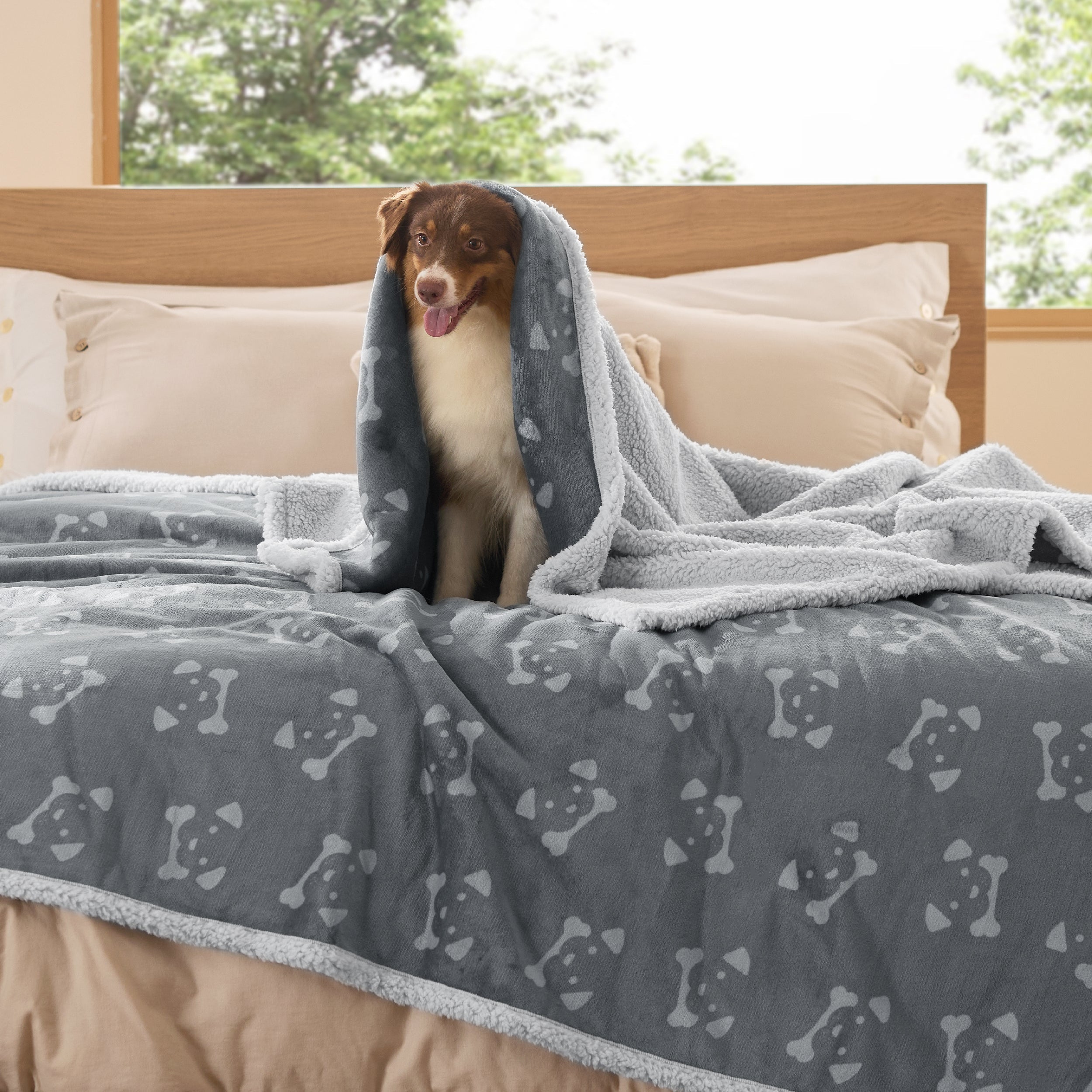 Reversible Waterproof Sherapa Blanket