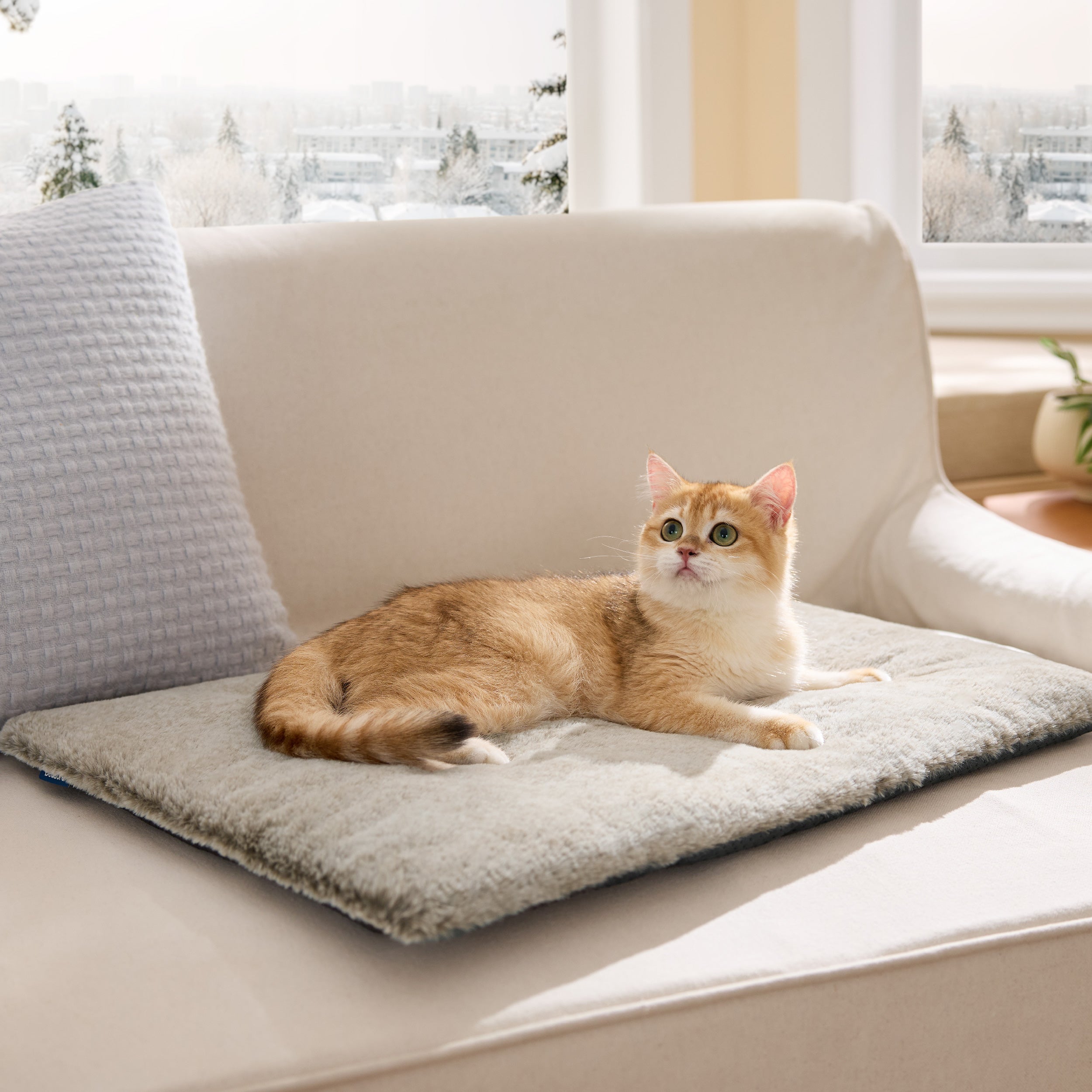 Self-Warming Cat Mat