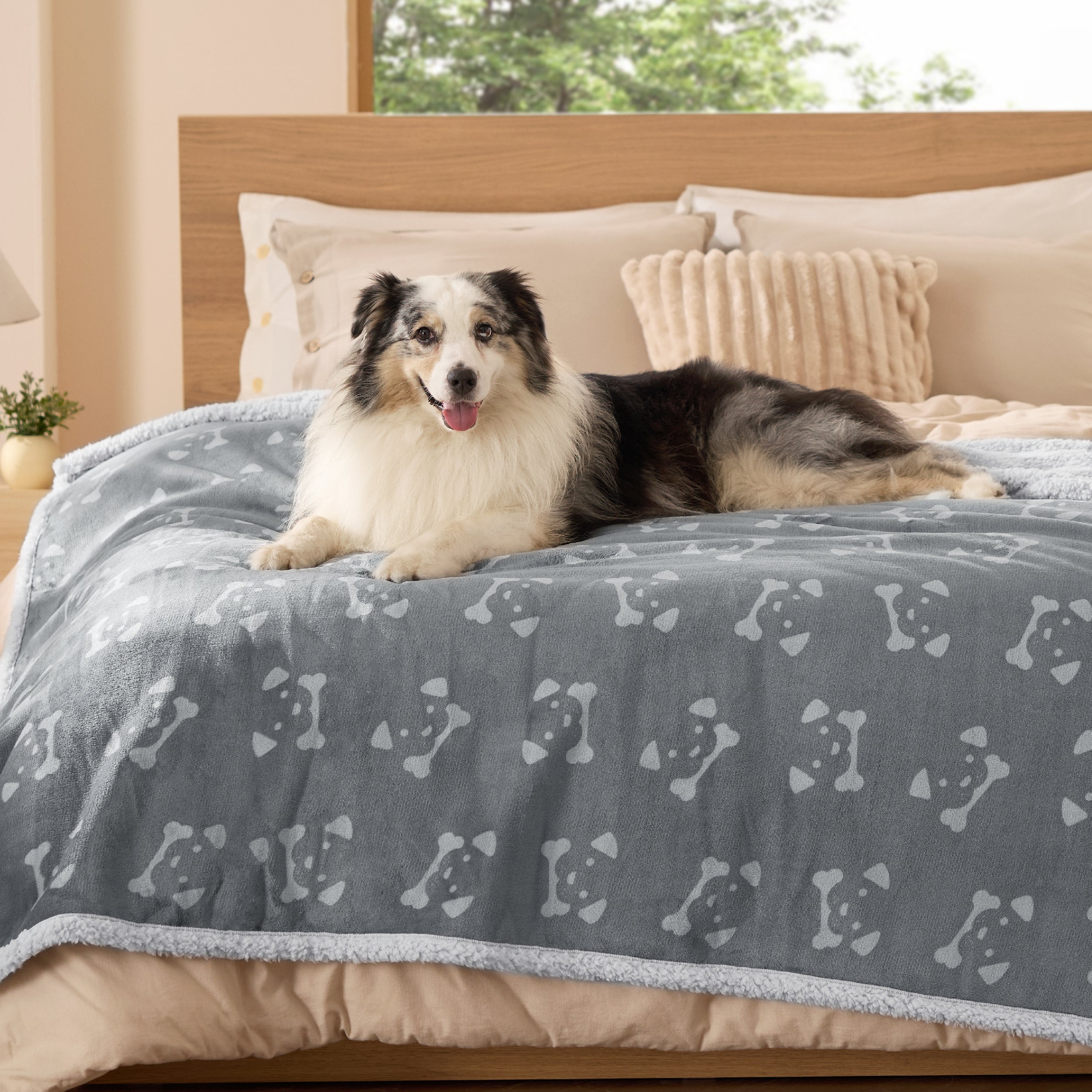 Reversible Waterproof Sherapa Blanket