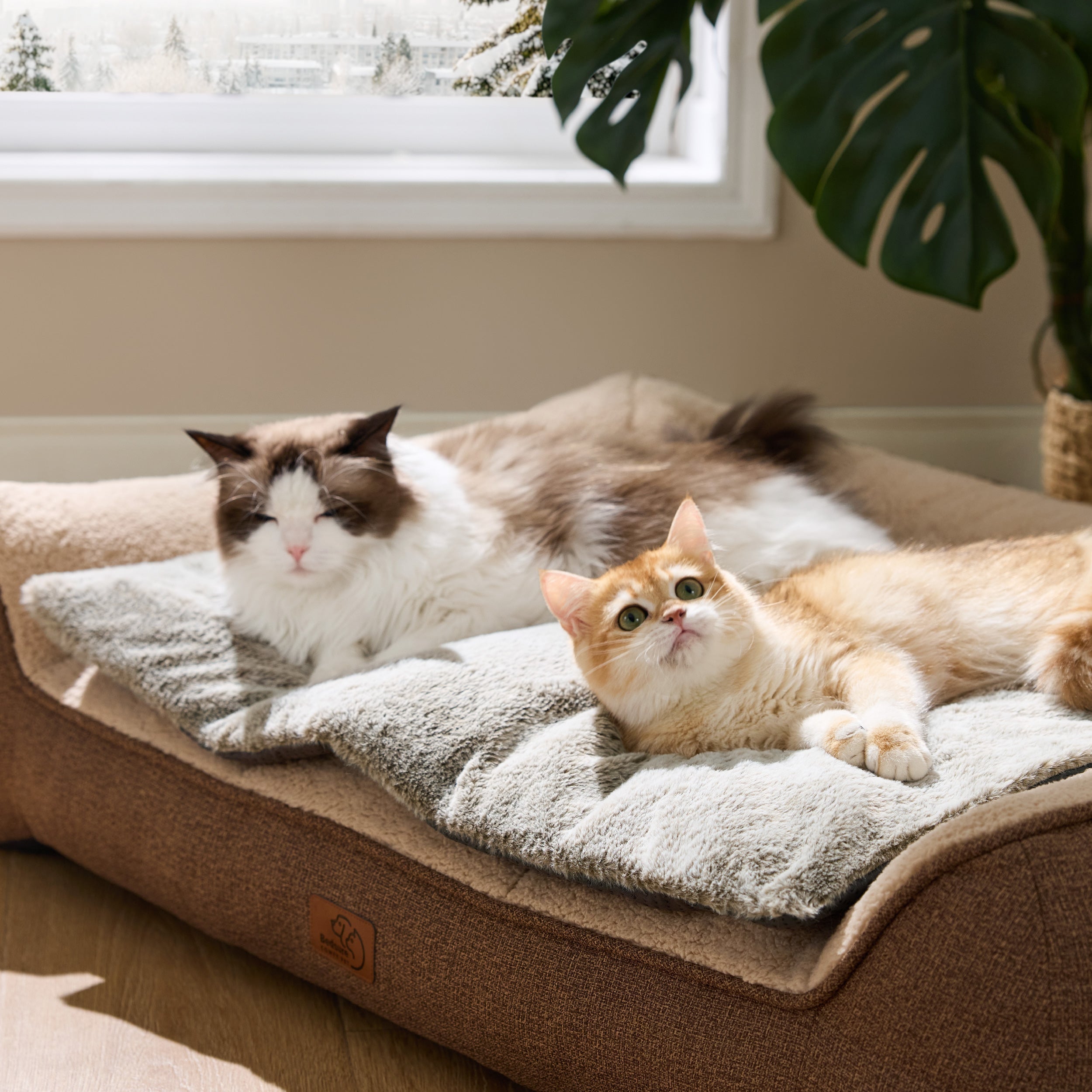 Self-Warming Cat Mat