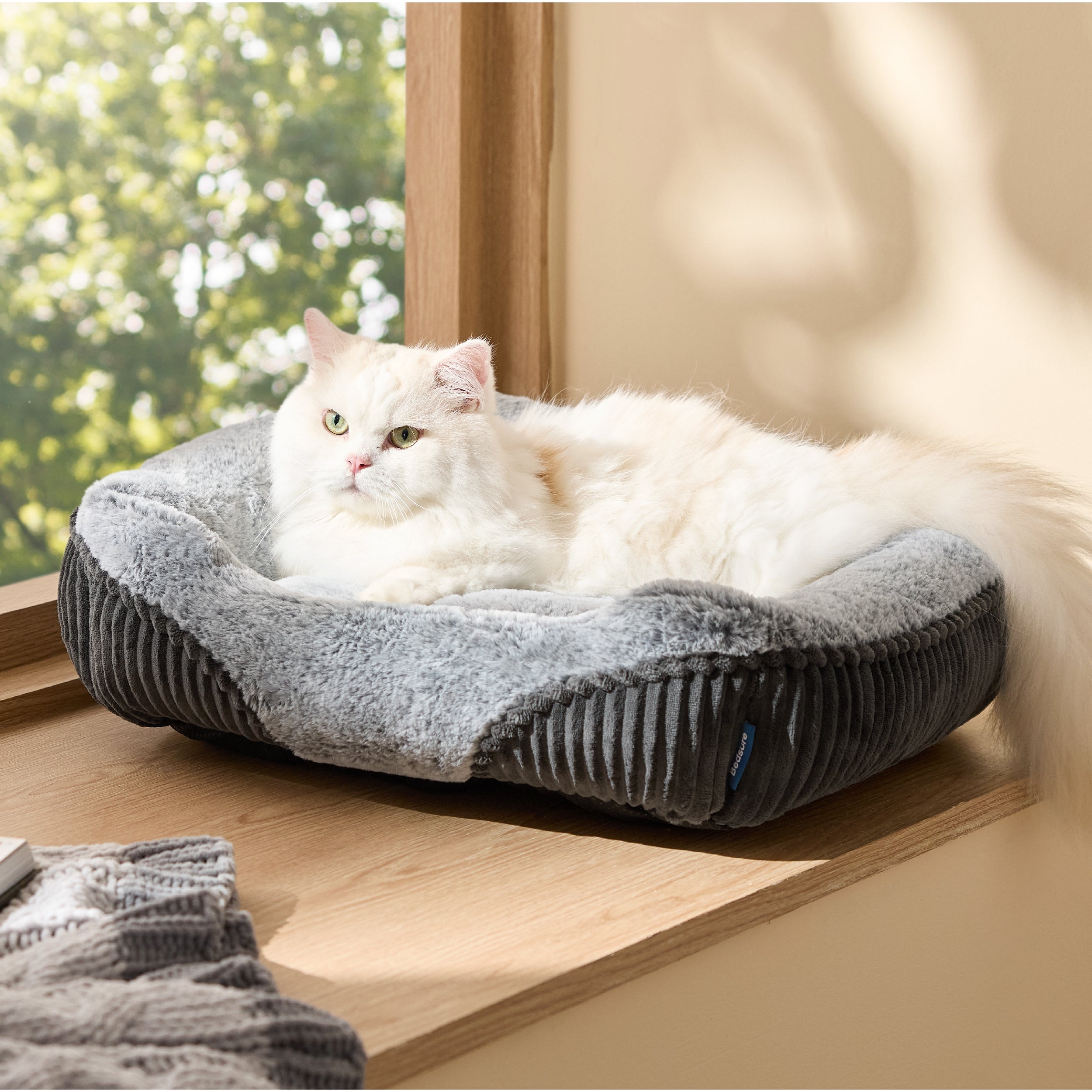 Rectangle Pet Bed