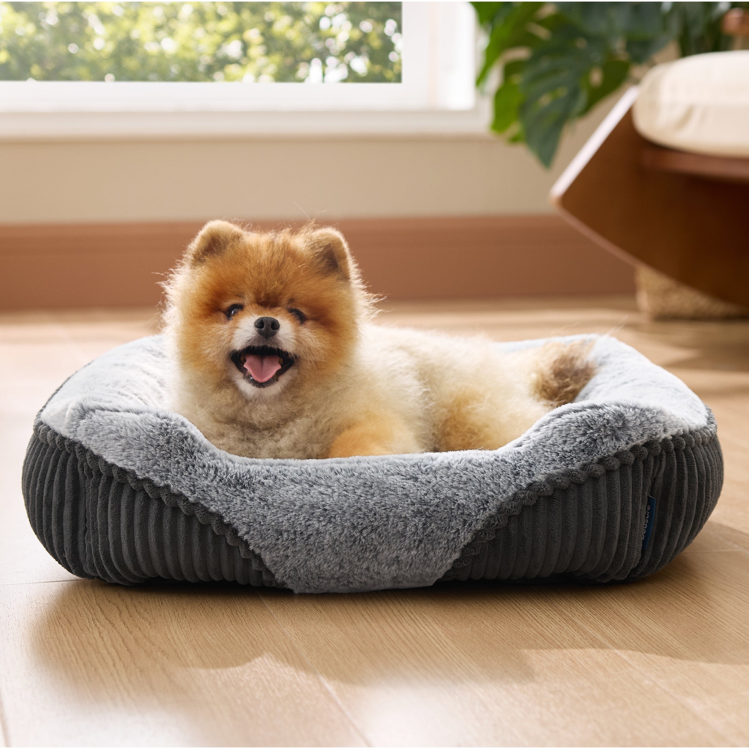 Rectangle Pet Bed