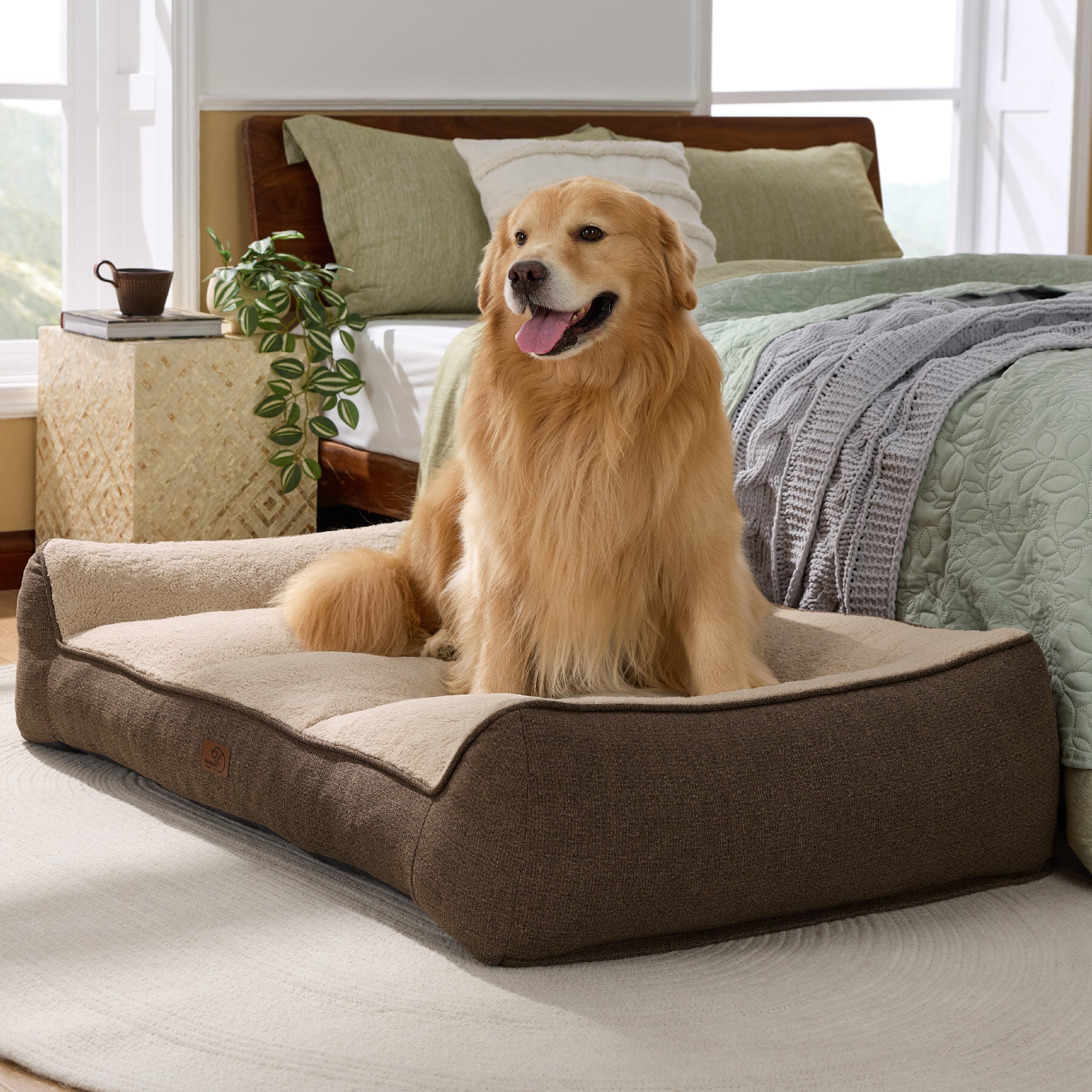 Supportive Dog Couch