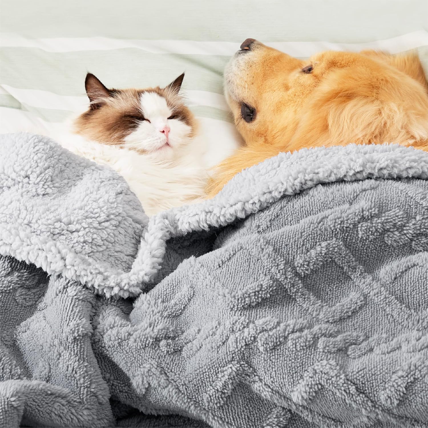 Waterproof Dog Blanket