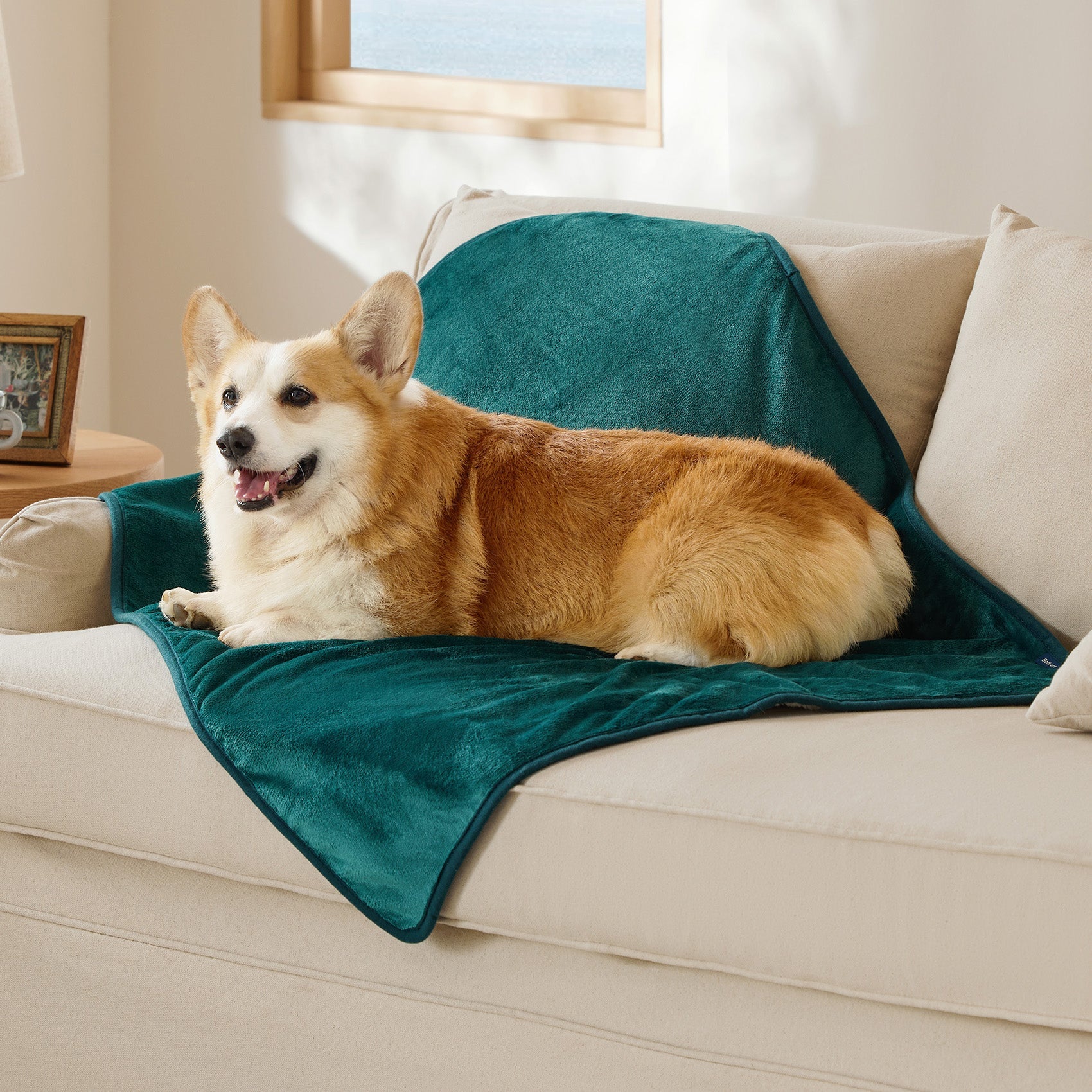Reversible Sherpa and Microfiber Fleece Dog Blanket