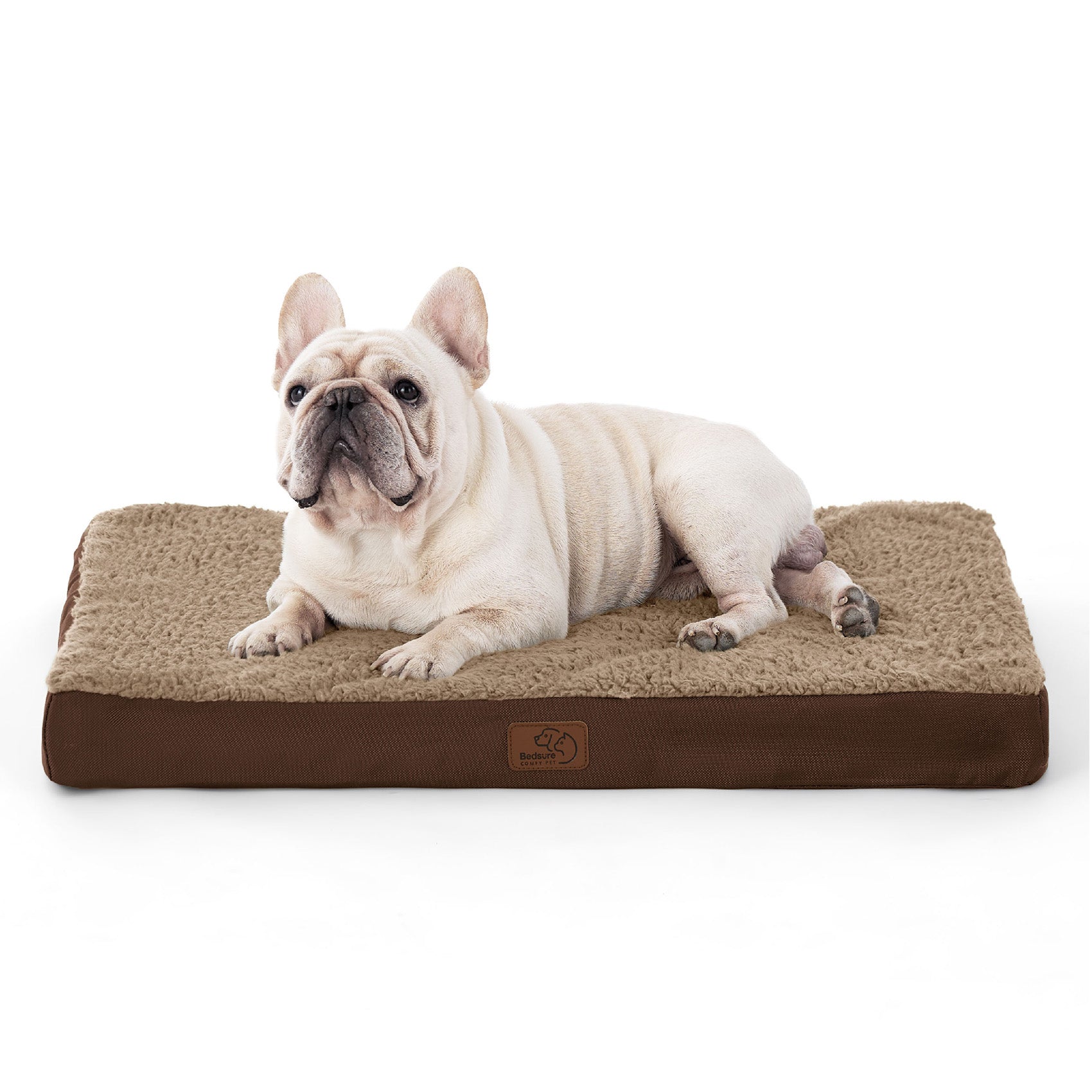 Large Orthopedic Washable Dog Bed