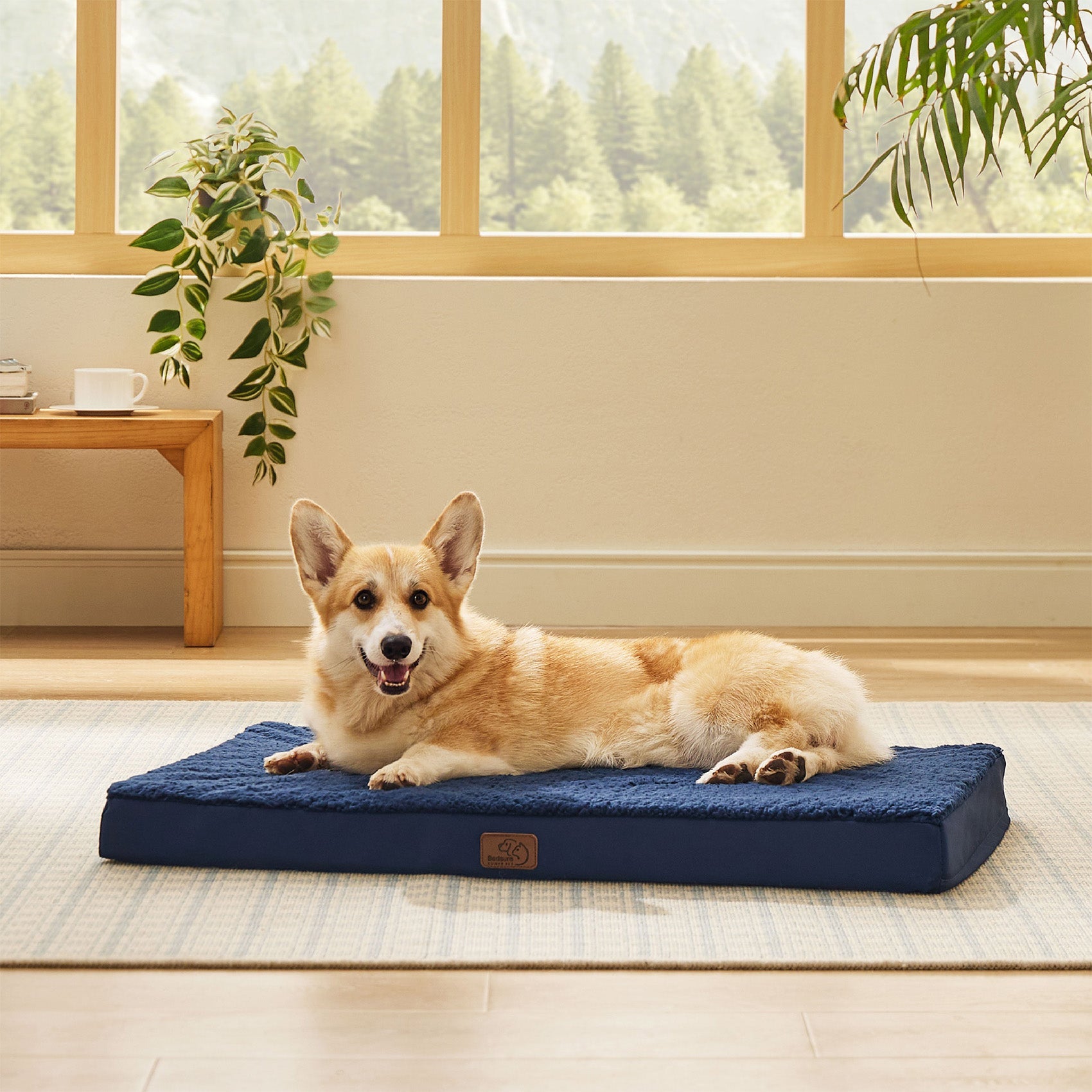 Large Orthopedic Washable Dog Bed