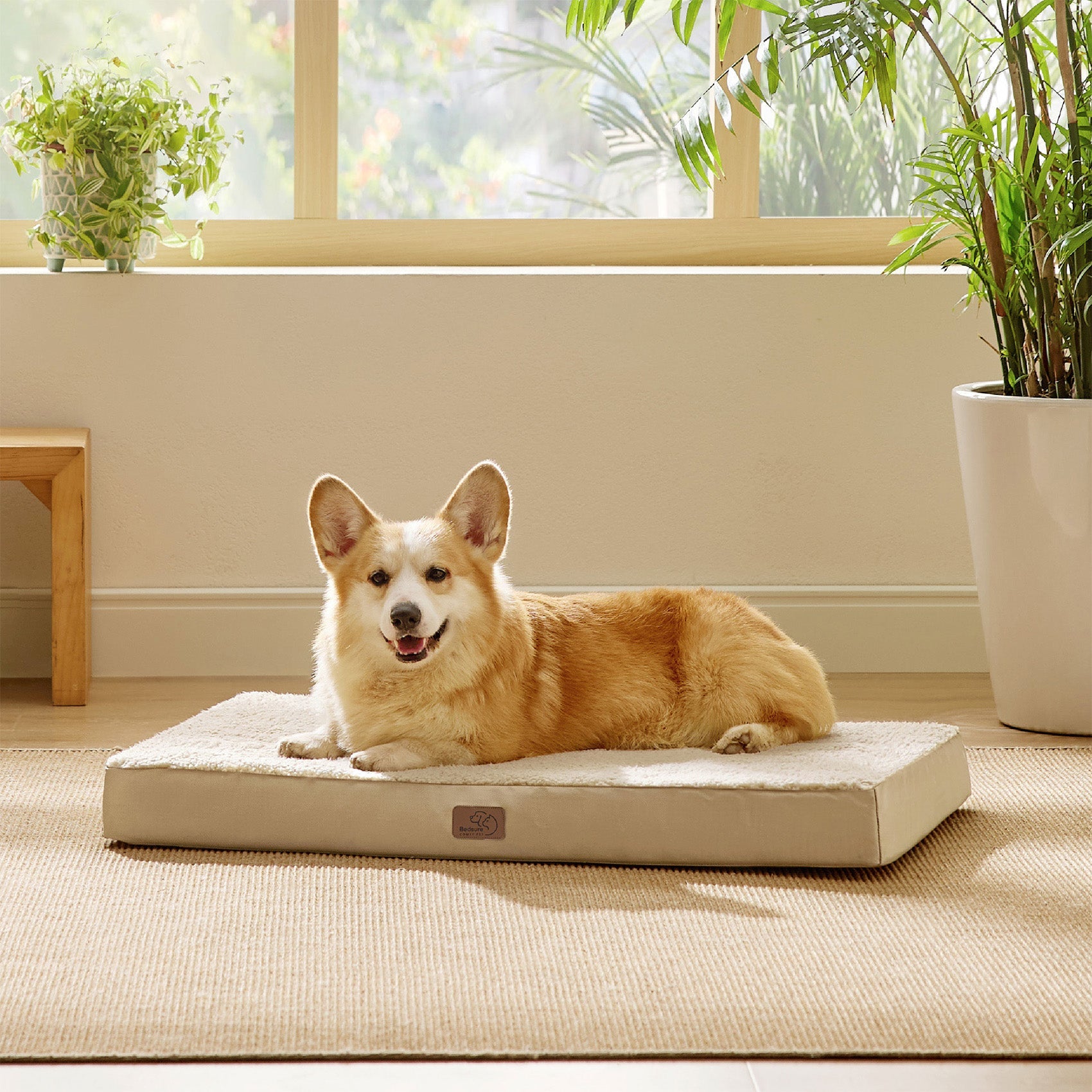 Large Orthopedic Washable Dog Bed